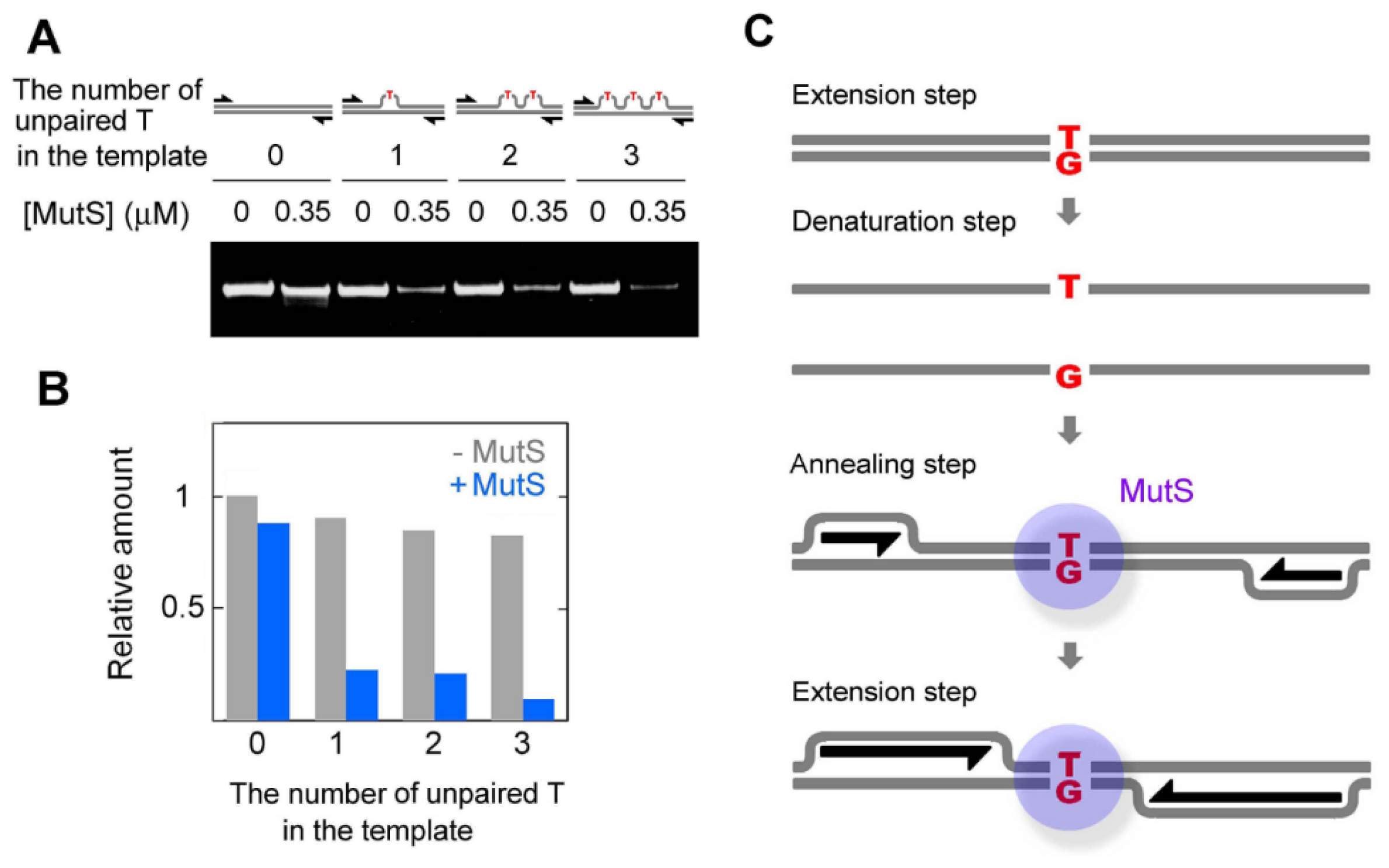 Ijms 14 06436f5 1024