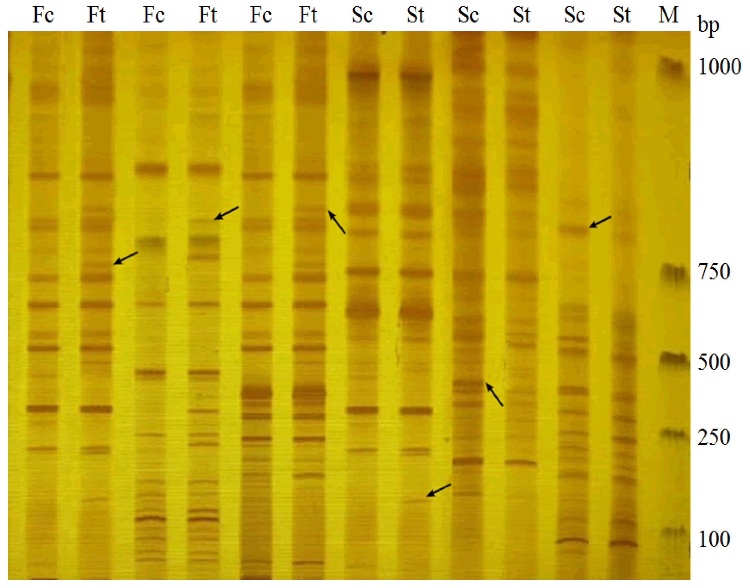 Ijms 14 06518f1 1024