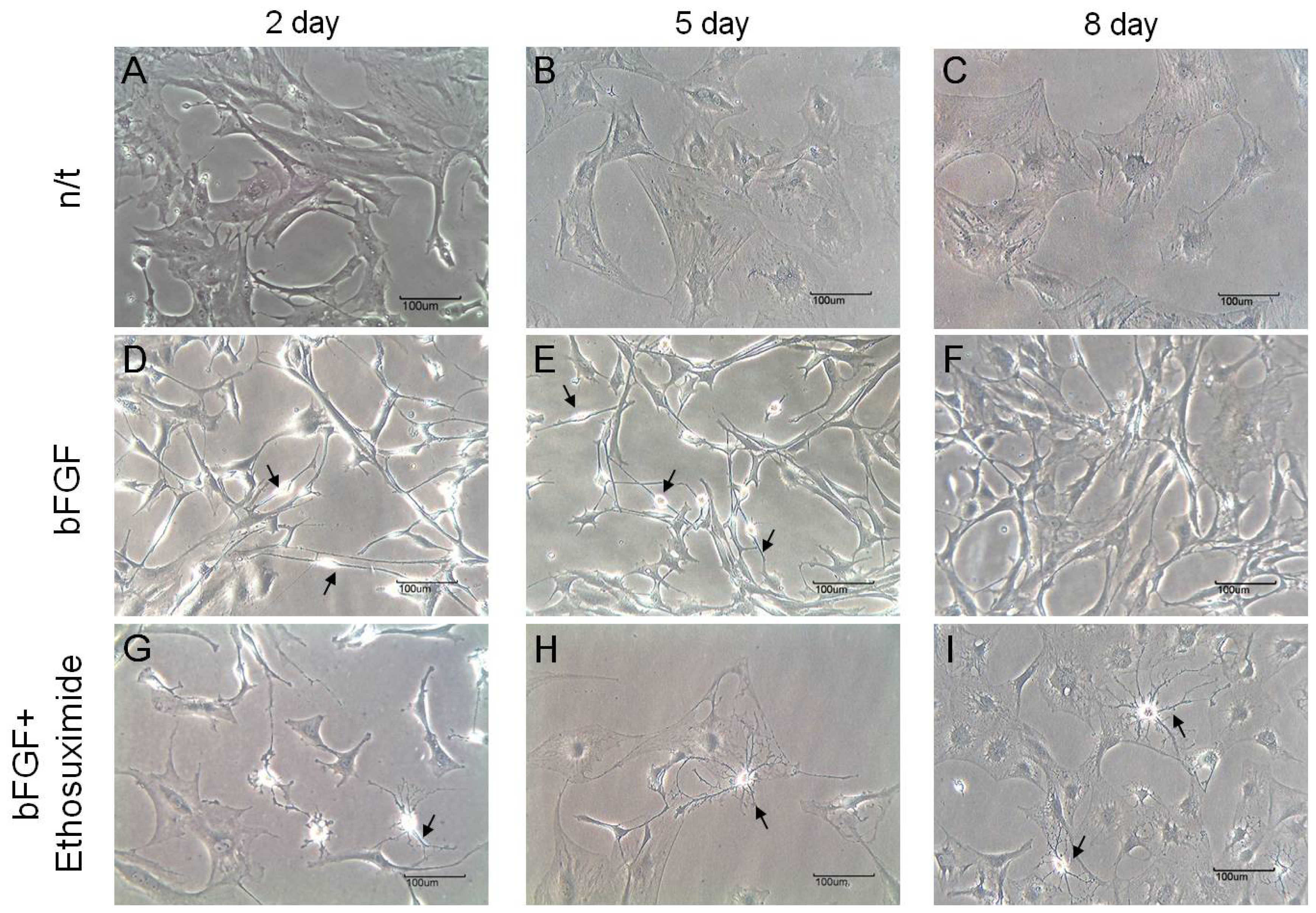 Ijms 14 06614f2 1024