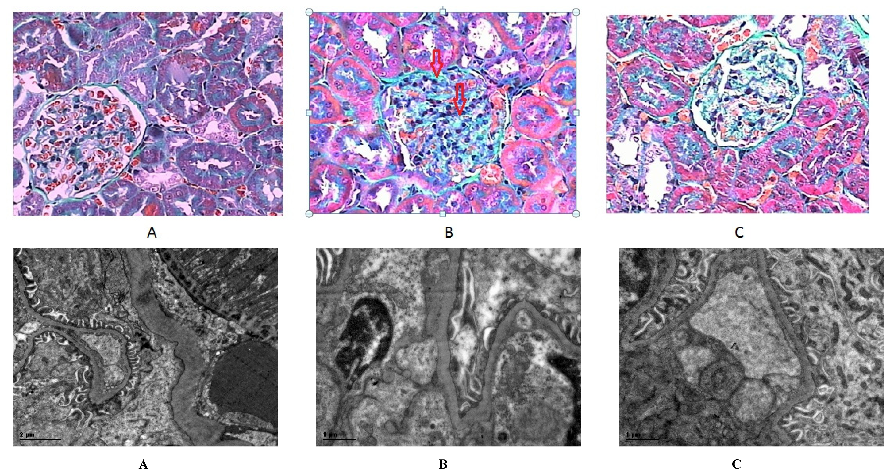 Ijms 14 06746f2b 1024