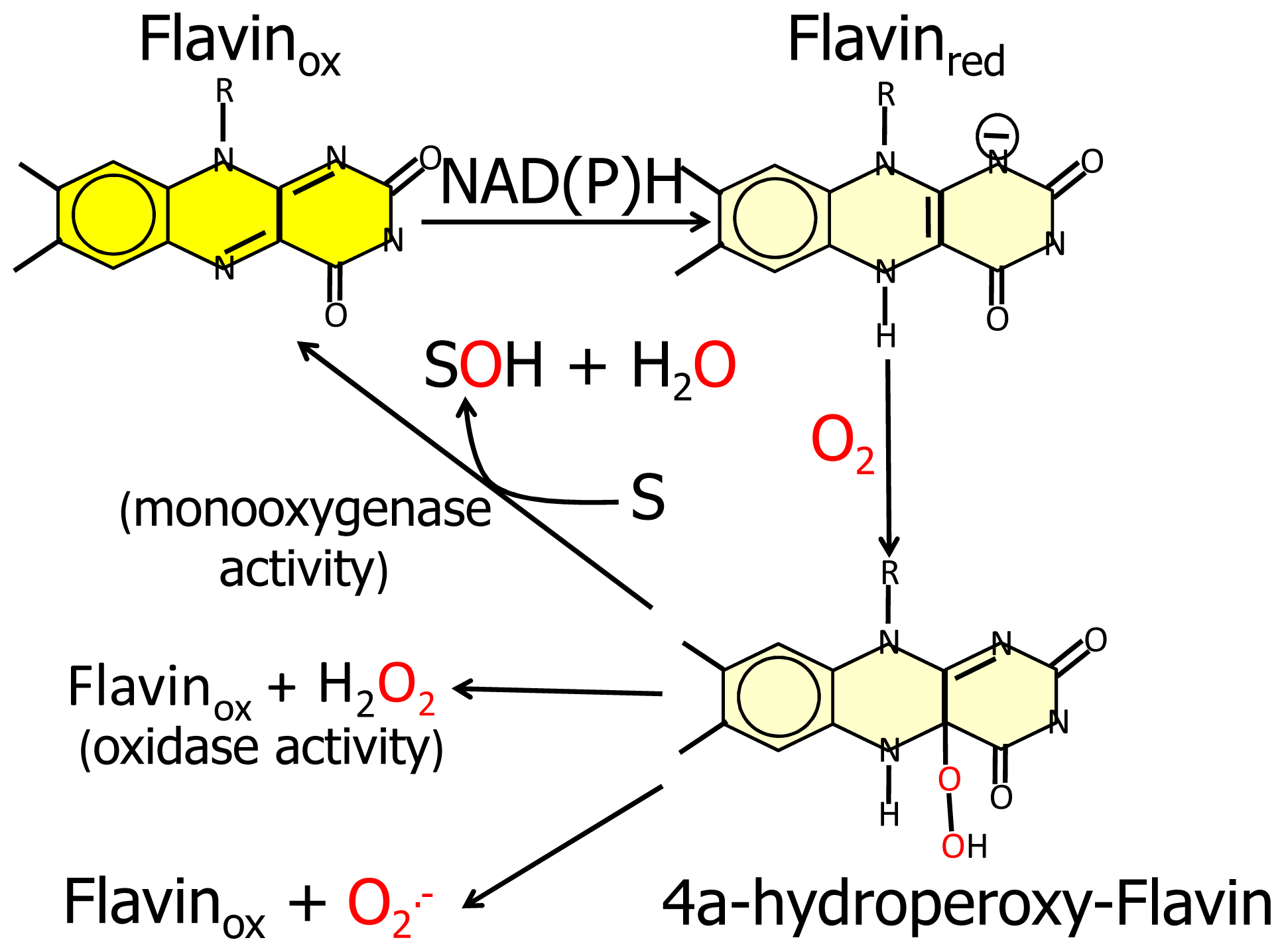 Ijms 14 06920f3 1024
