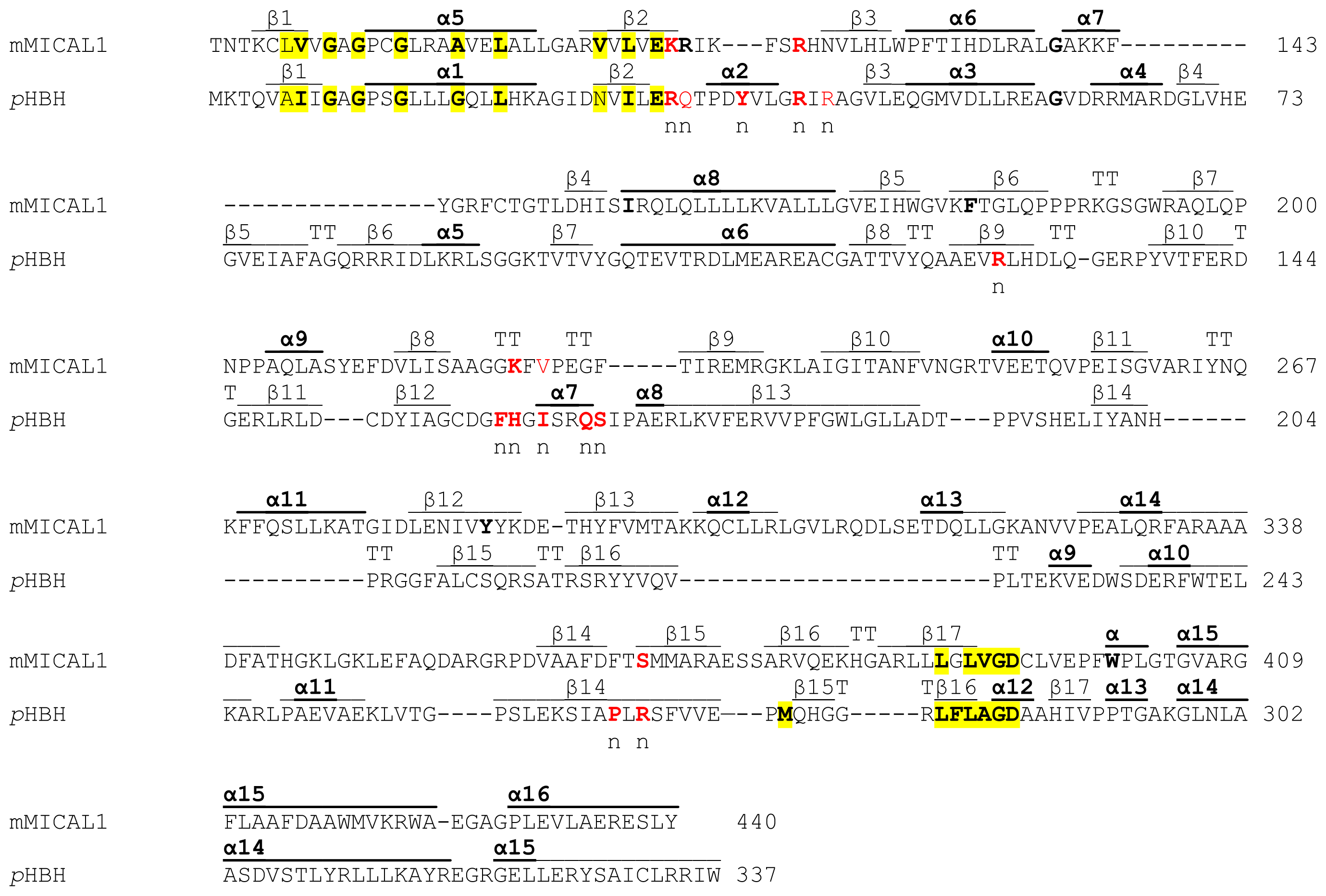 mical biochemical mical biochemical