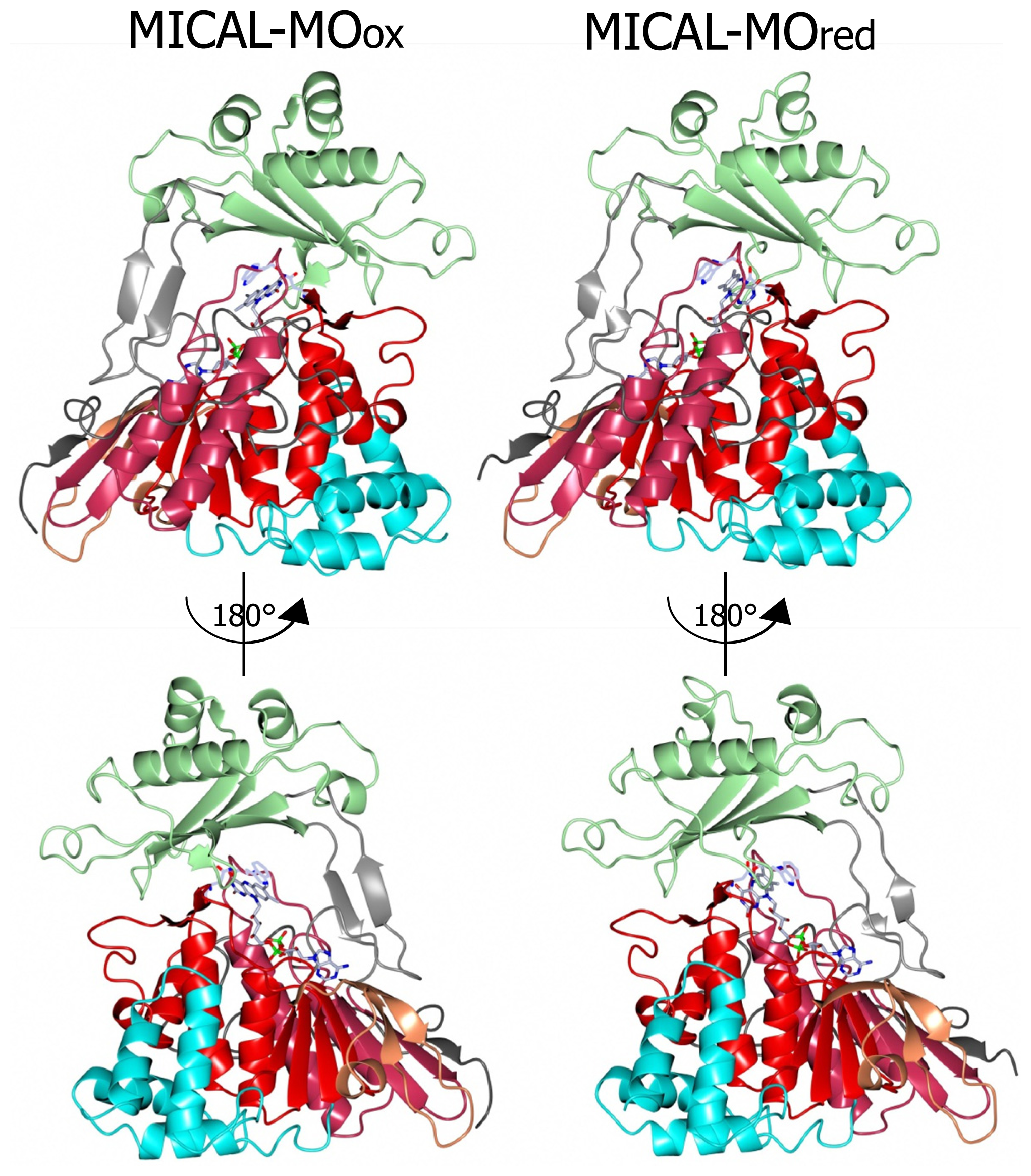 Ijms 14 06920f6 1024
