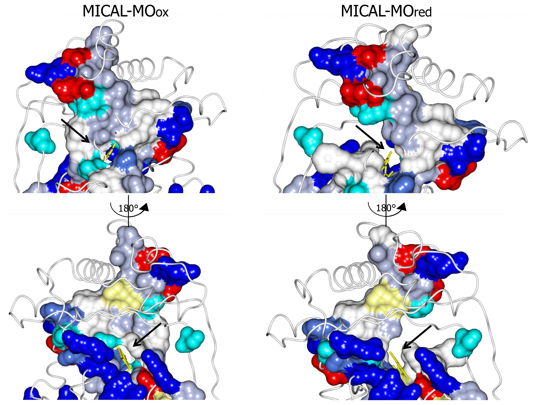 Ijms 14 06920f8 1024