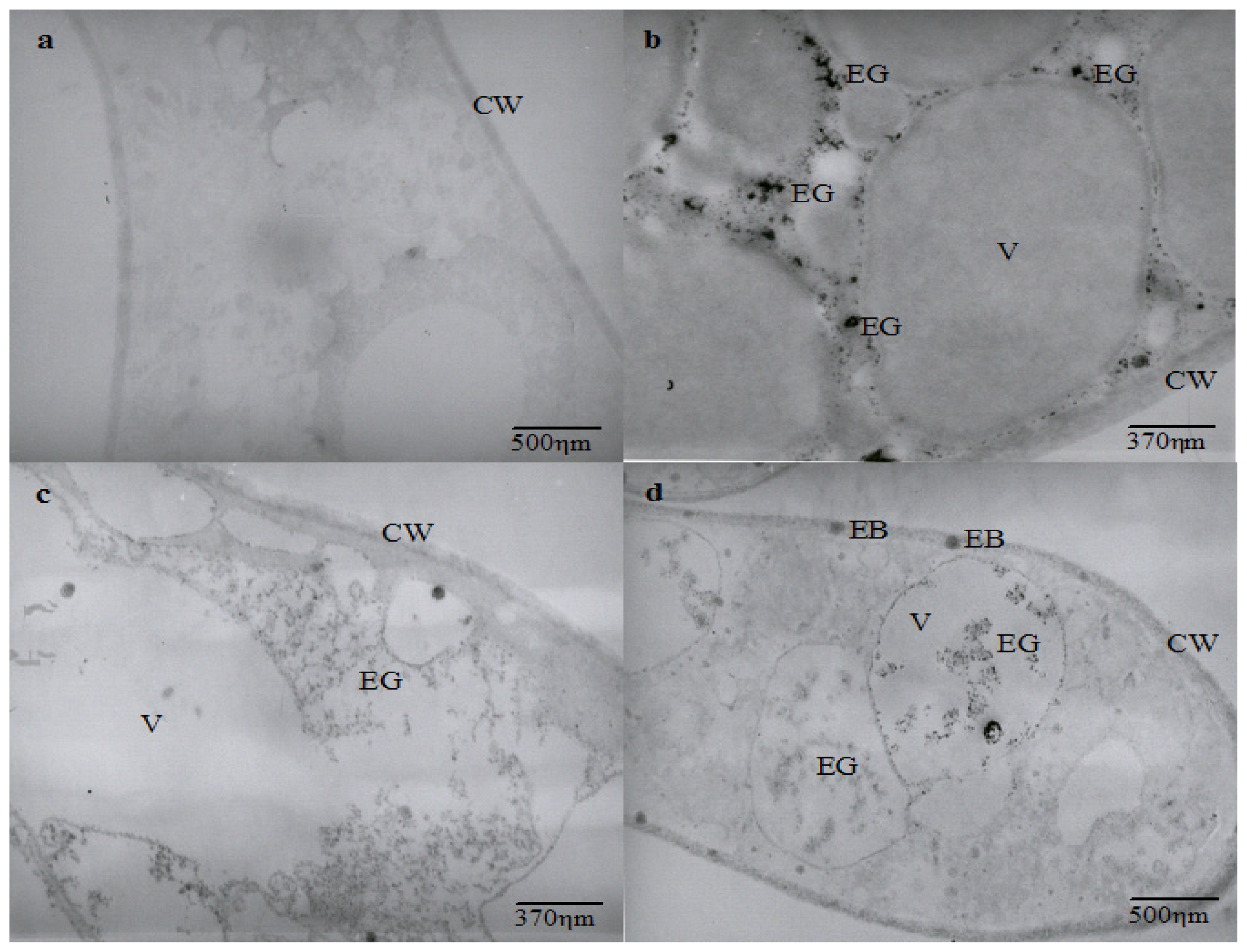 Ijms 14 07180f2 1024