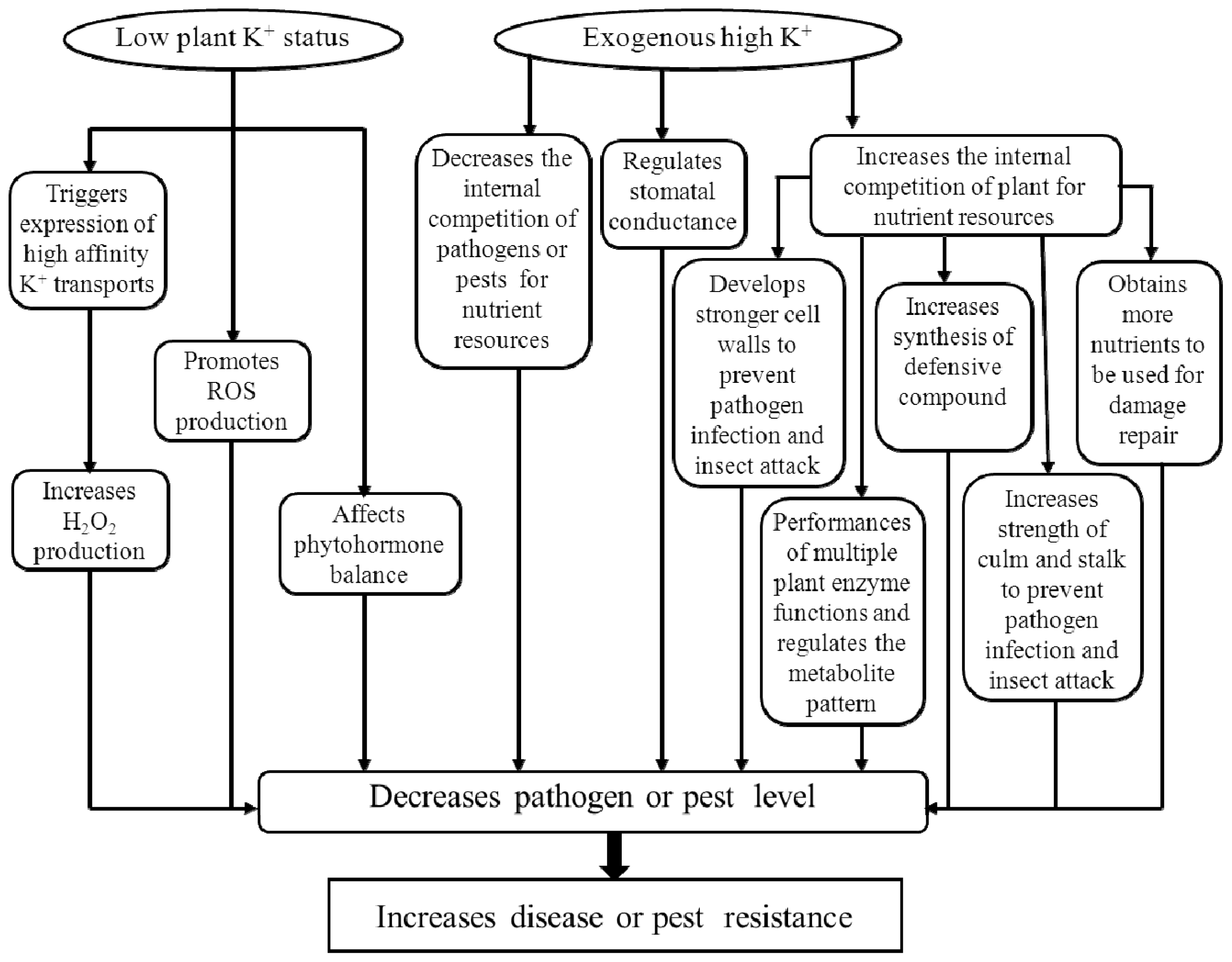 Ijms 14 07370f1 1024