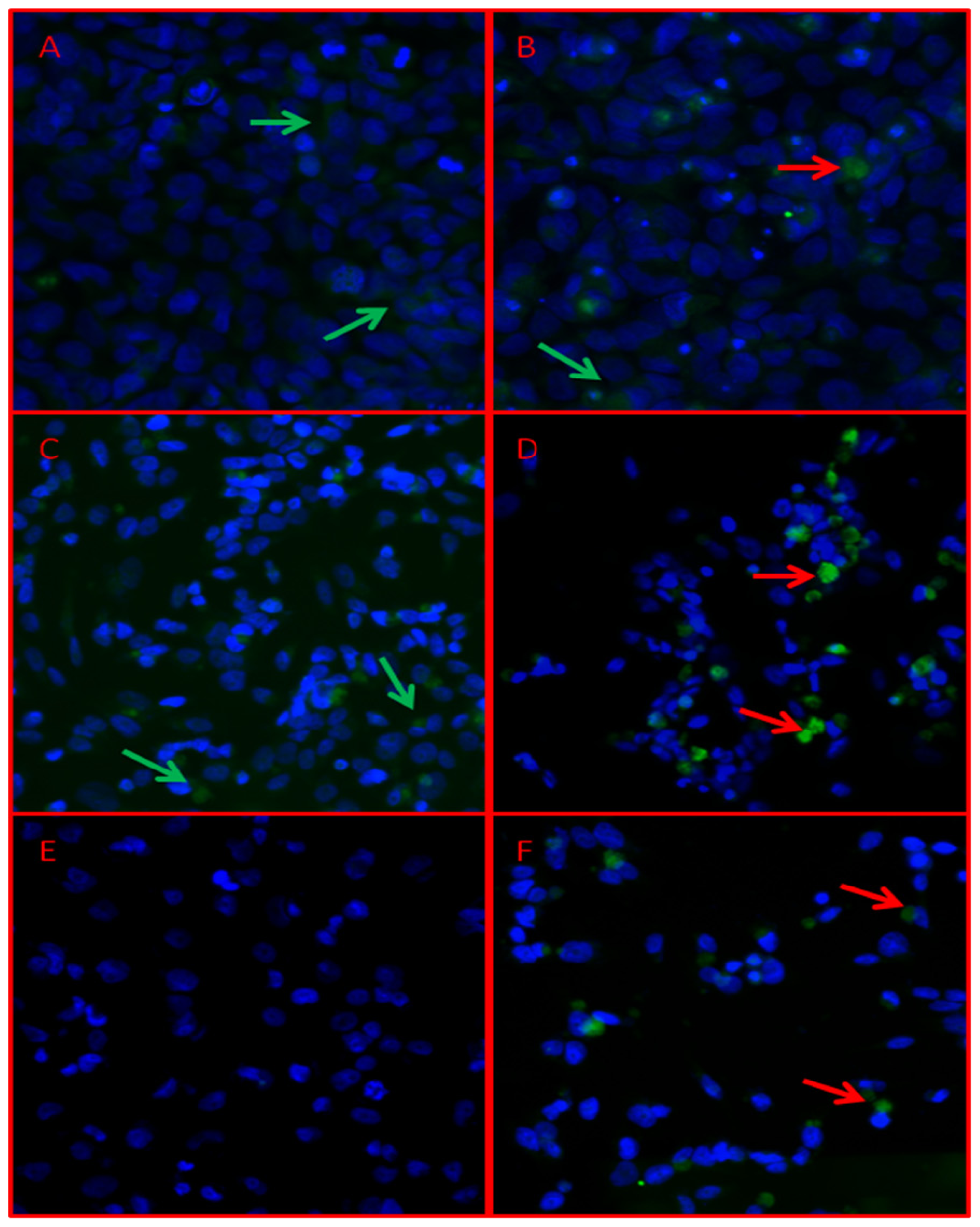 Ijms 14 07492f5 1024