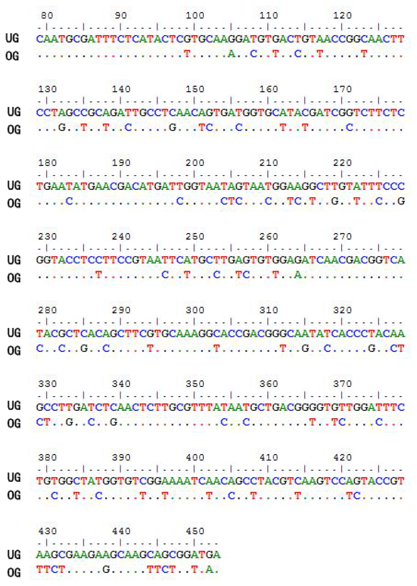 Ijms Free Full Text Expression Purification And Identification Of Ctcvnh A Novel Anti Hiv Human Immunodeficiency Virus Protein From Ceratopteris Thalictroides Html Ijms Free Full Text Expression Purification And Identification Of Ctcvnh A Novel Anti Hiv Human Immunodeficiency Virus Protein From Ceratopteris Thalictroides Html