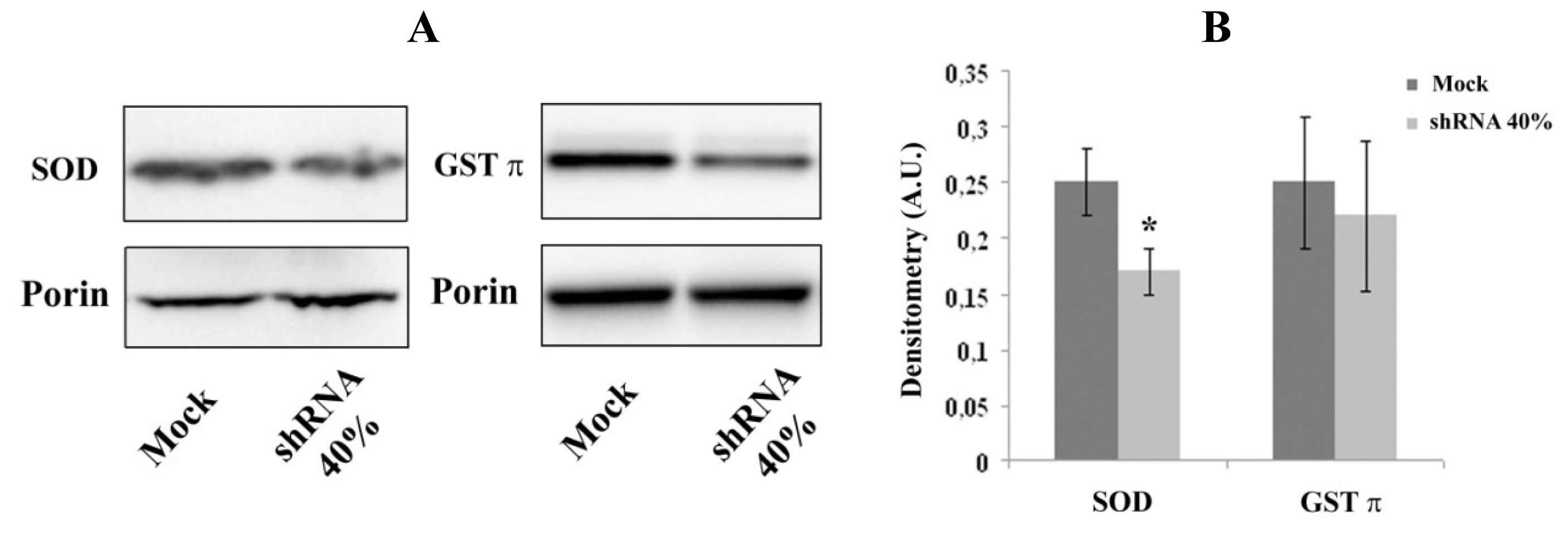 Ijms 14 07853f3 1024