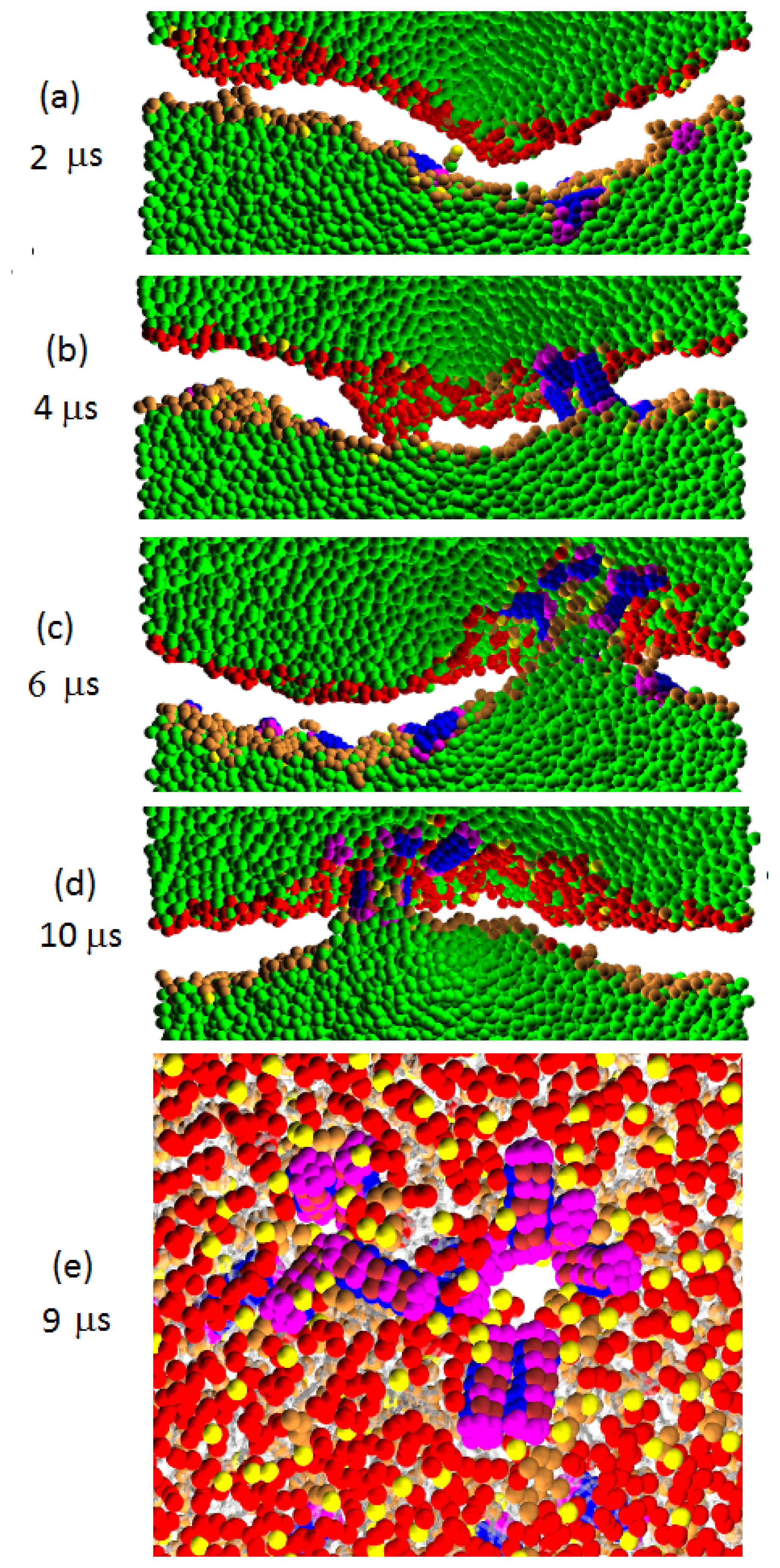 Ijms 14 07932f12 1024