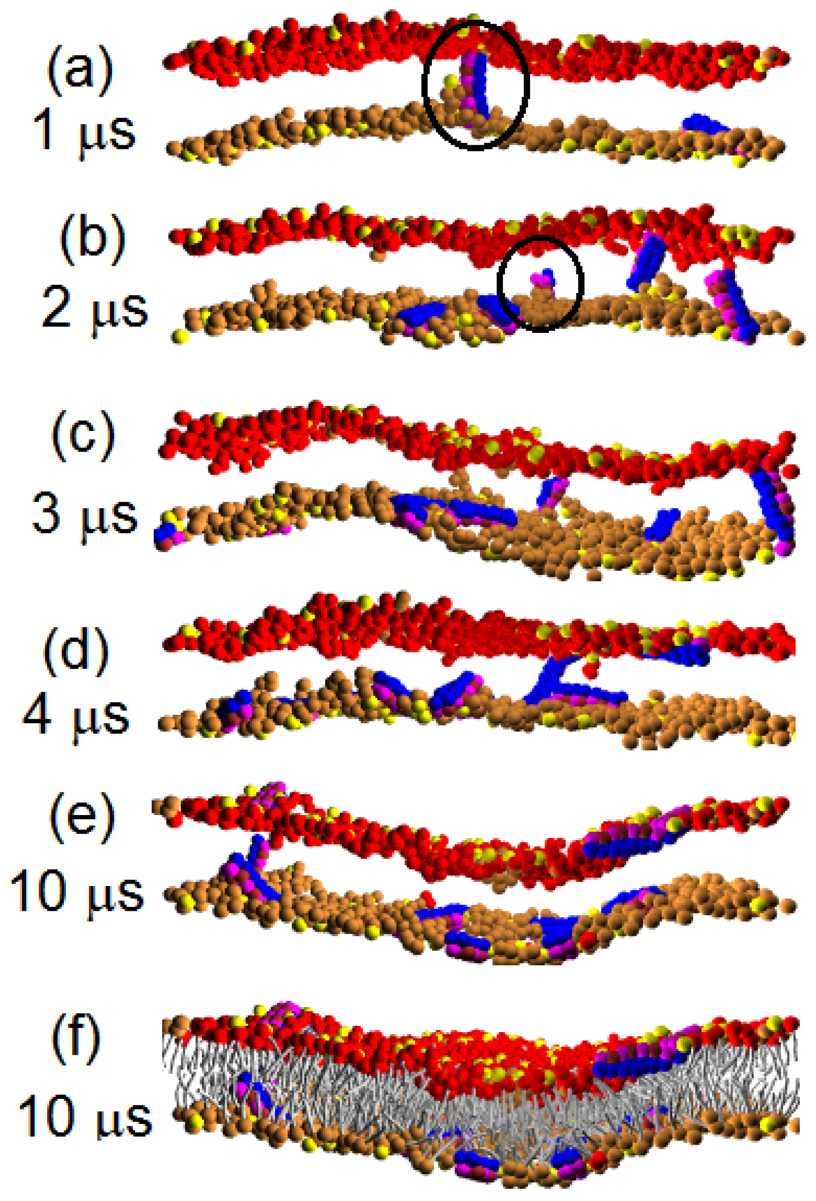Ijms 14 07932f2 1024