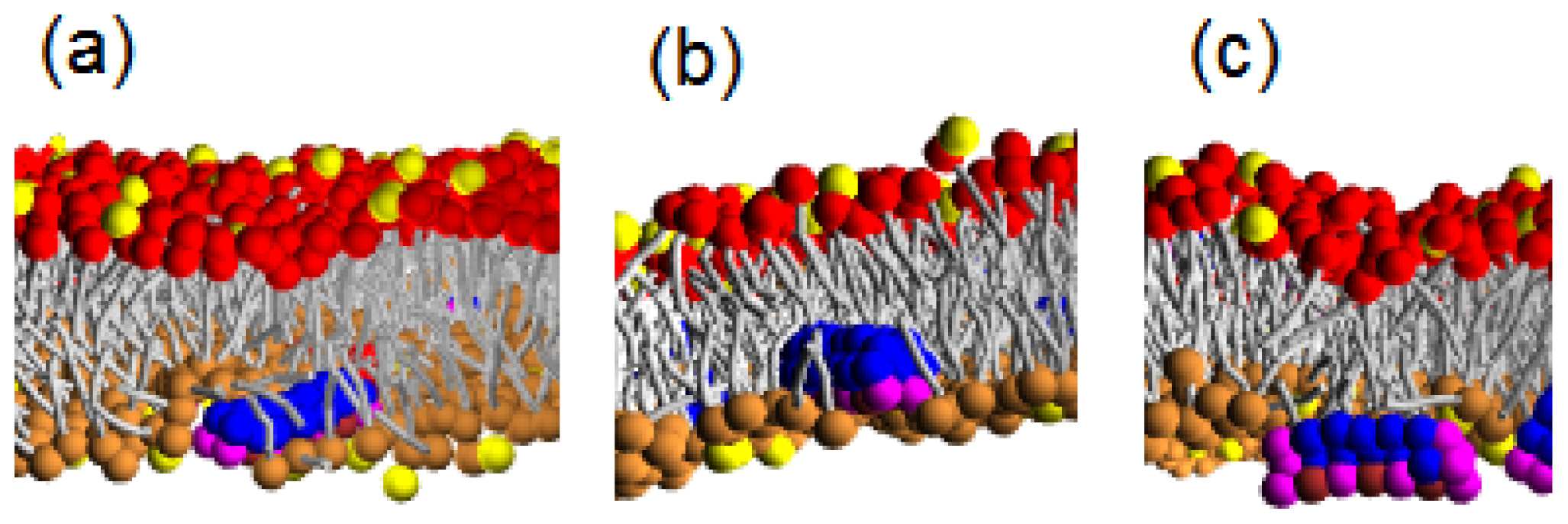 Ijms 14 07932f6 1024