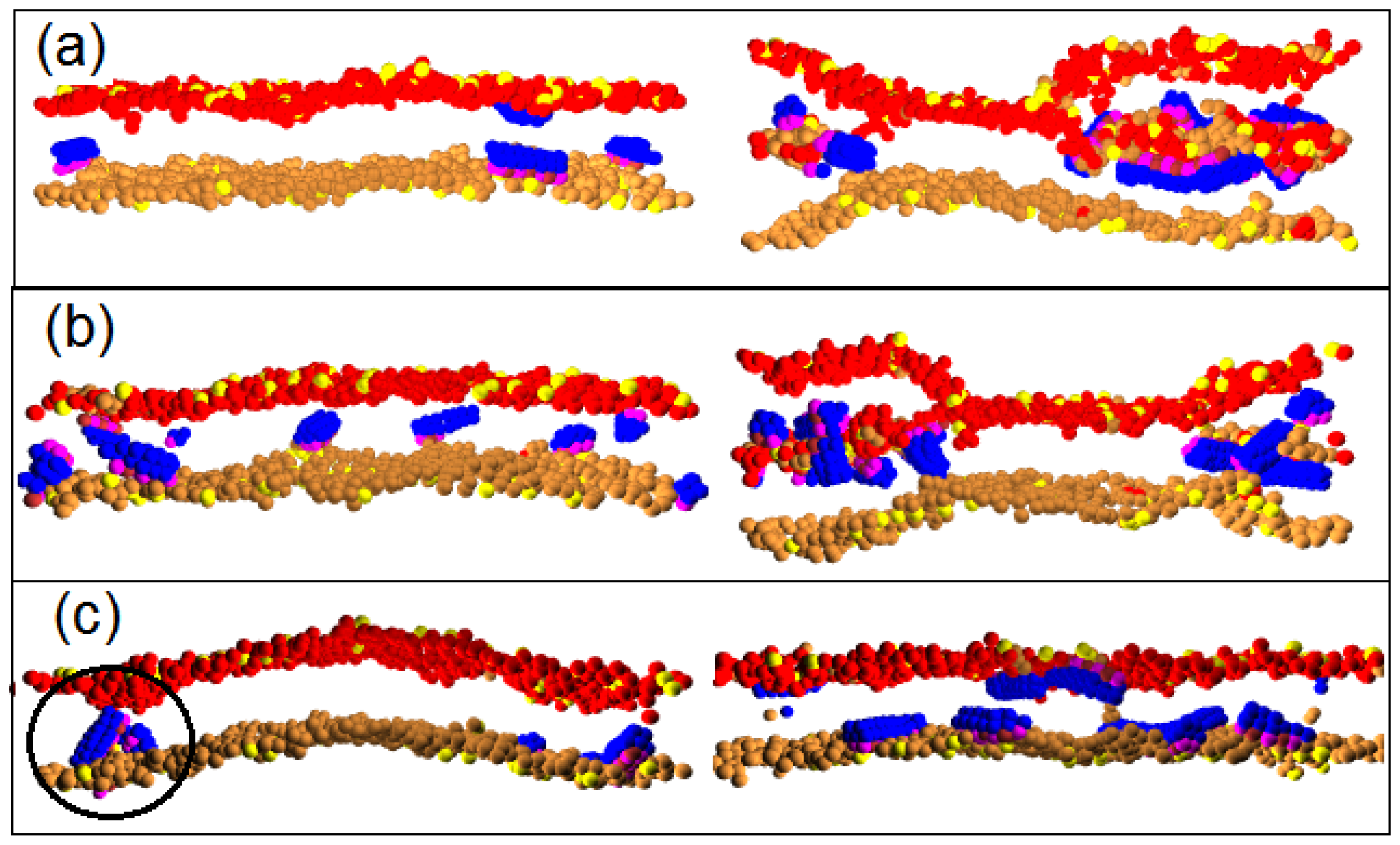 Ijms 14 07932f8 1024