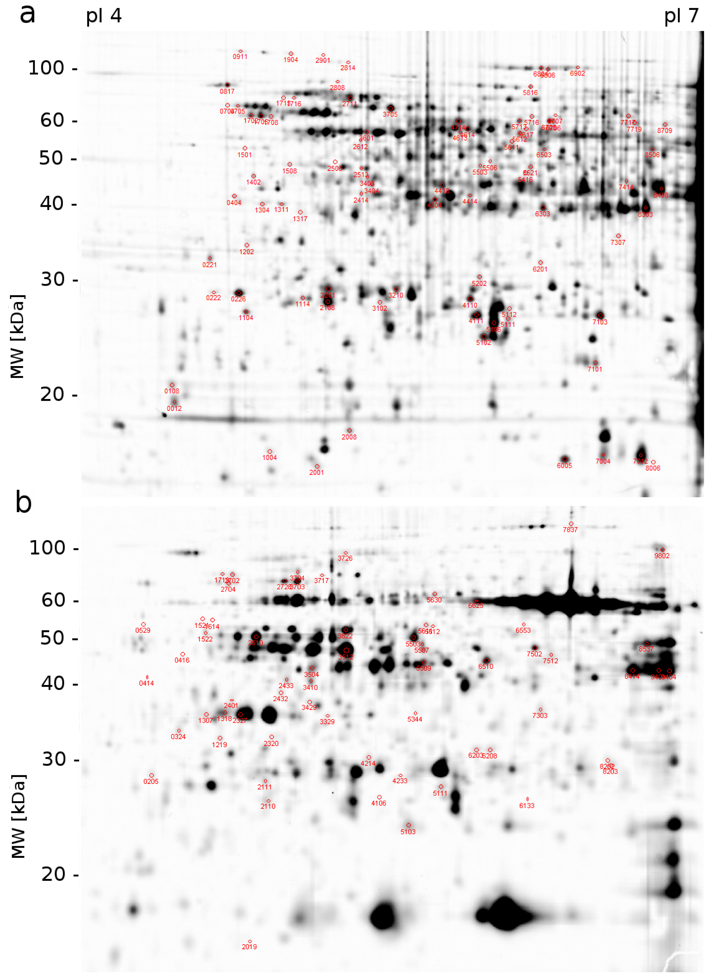 Ijms 14 08000f1 1024