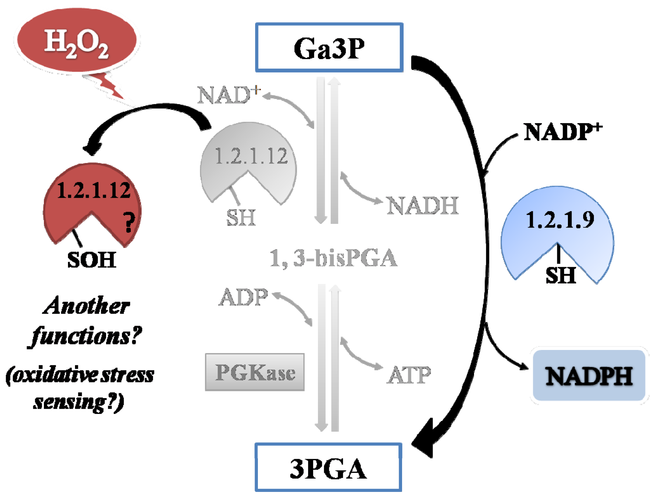 Ijms 14 08073f8 1024