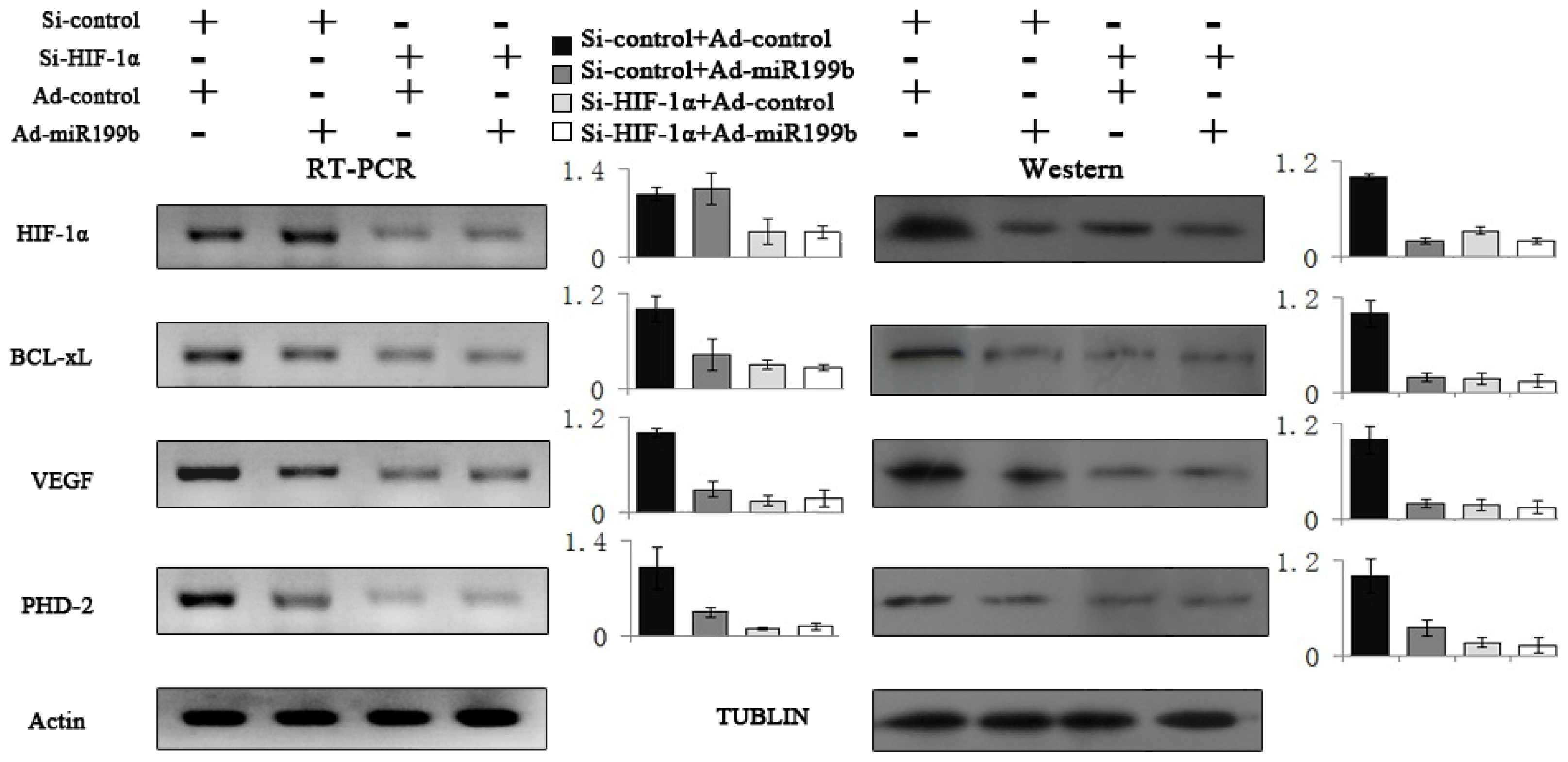 Ijms 14 08422f5 1024