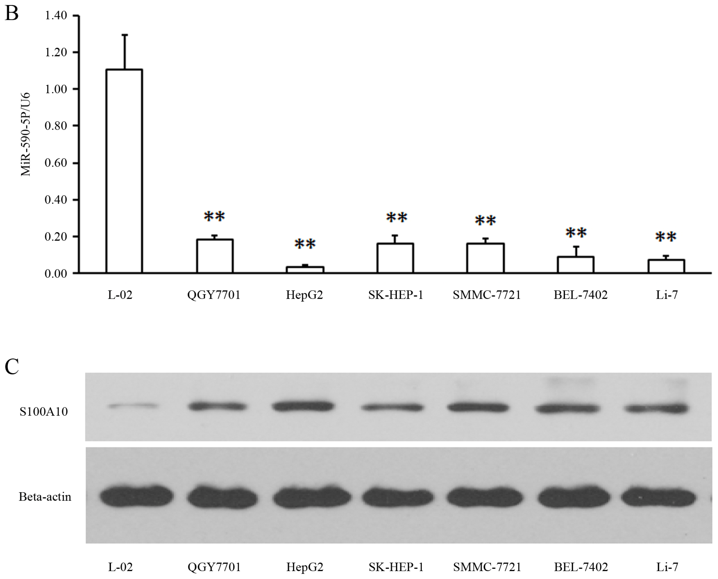 Ijms 14 08556f1b 1024