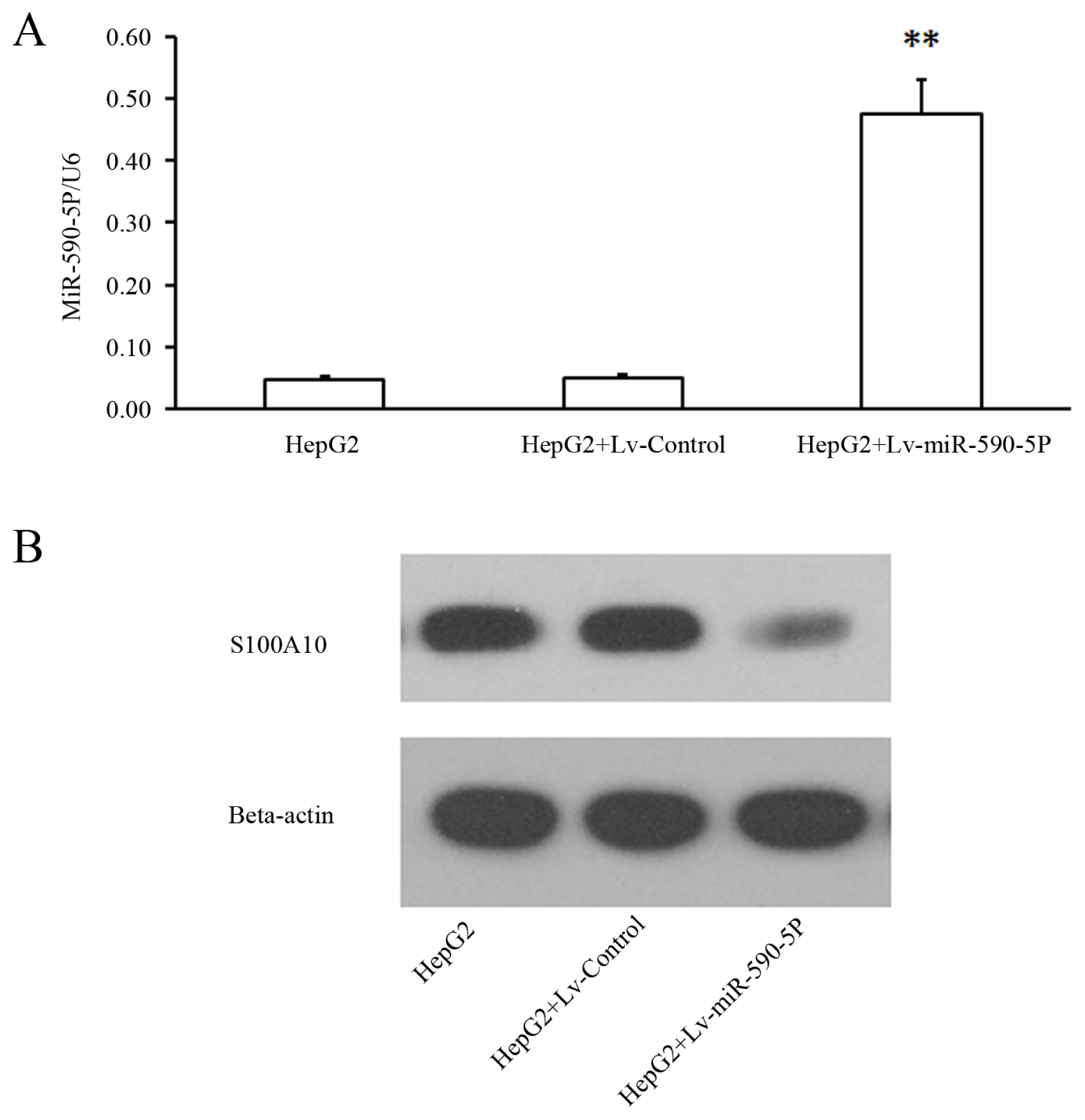 Ijms 14 08556f3 1024