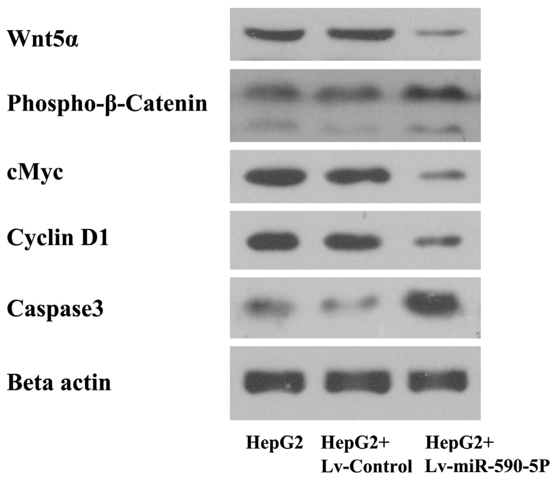 Ijms 14 08556f6 1024