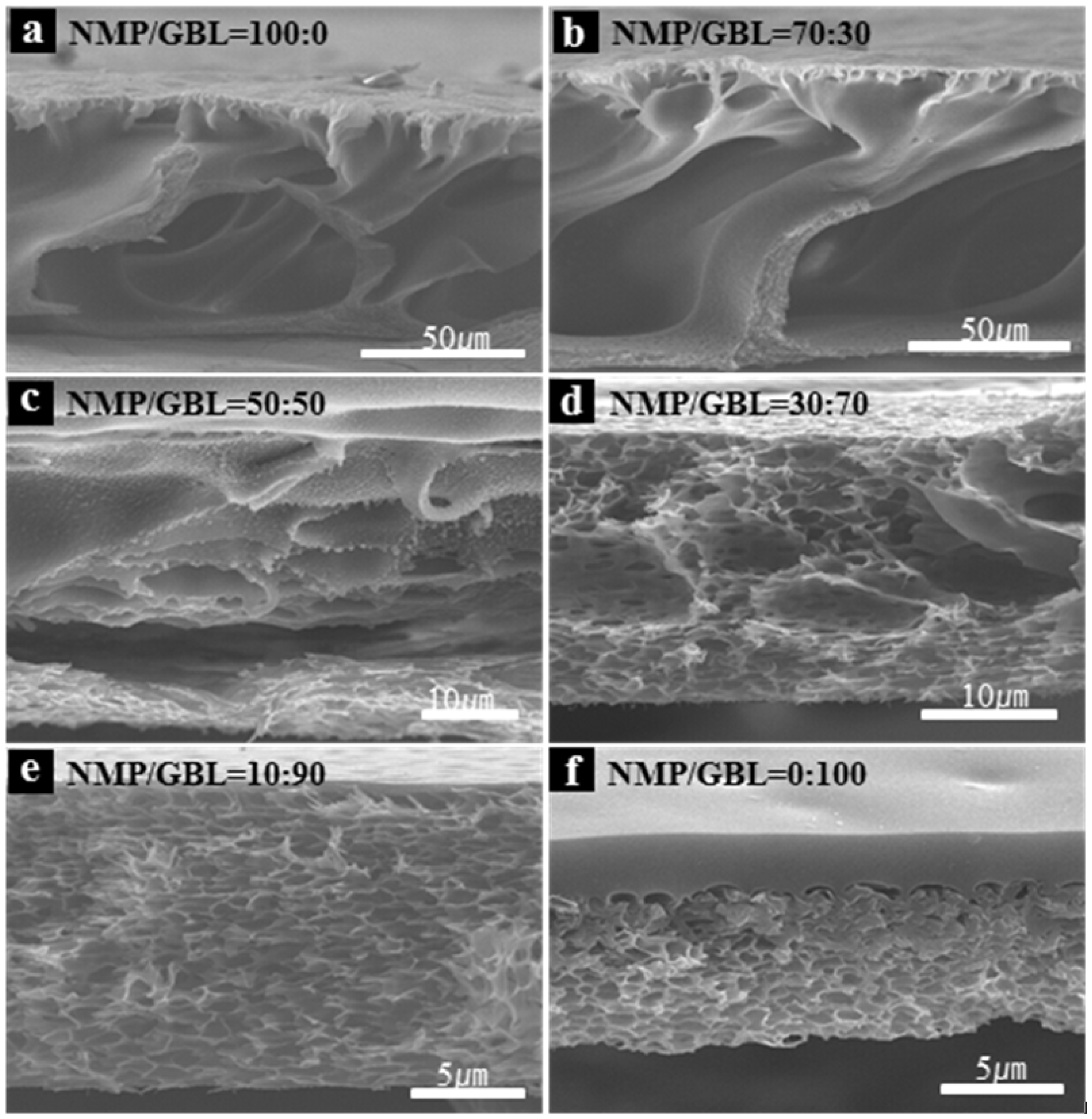 Ijms 14 08698f2 1024