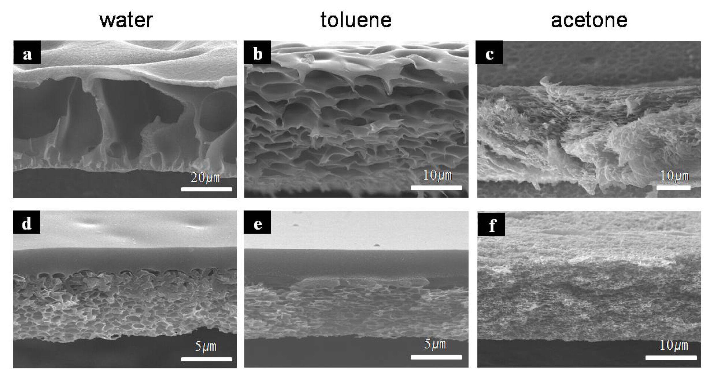 Ijms 14 08698f3 1024