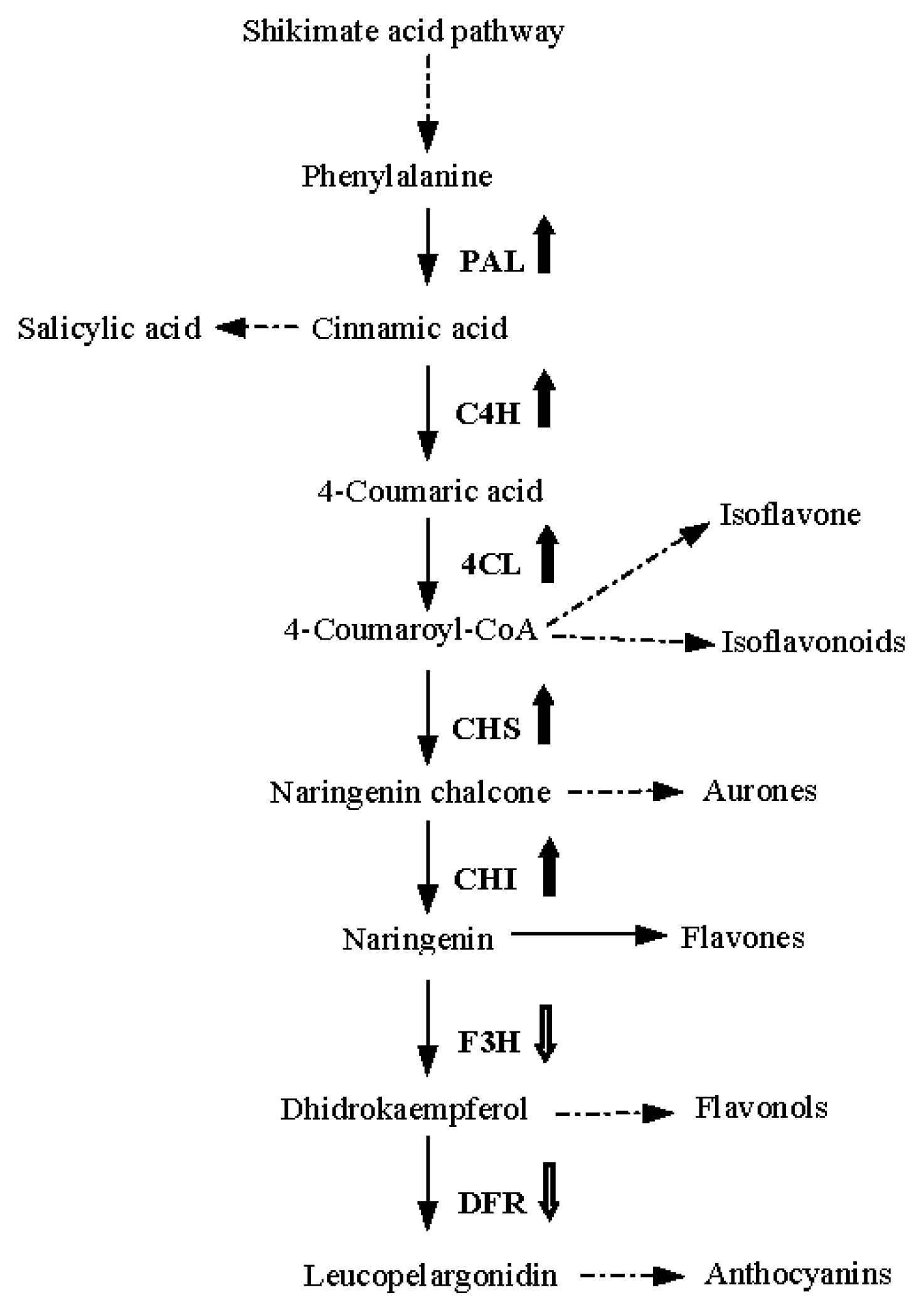Ijms 14 08775f1 1024