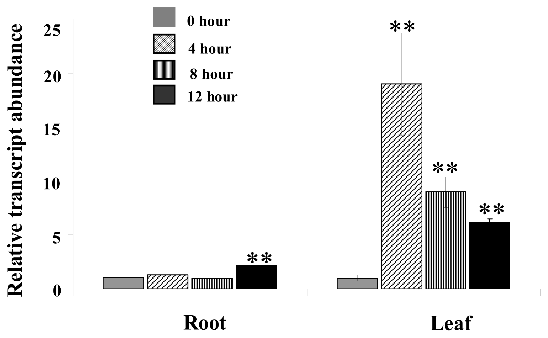 Ijms 14 08775f2 1024