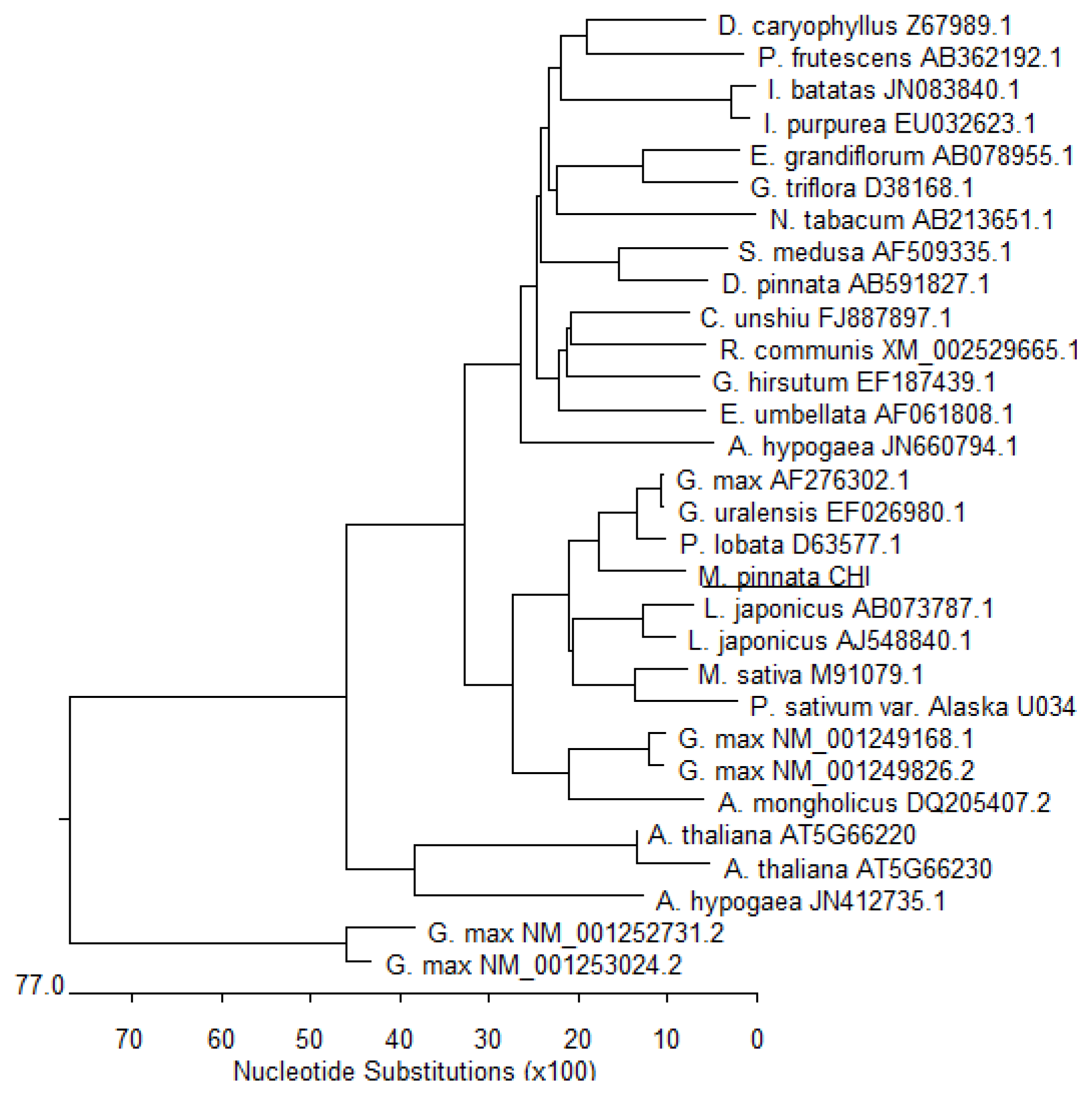 Ijms 14 08775f3 1024