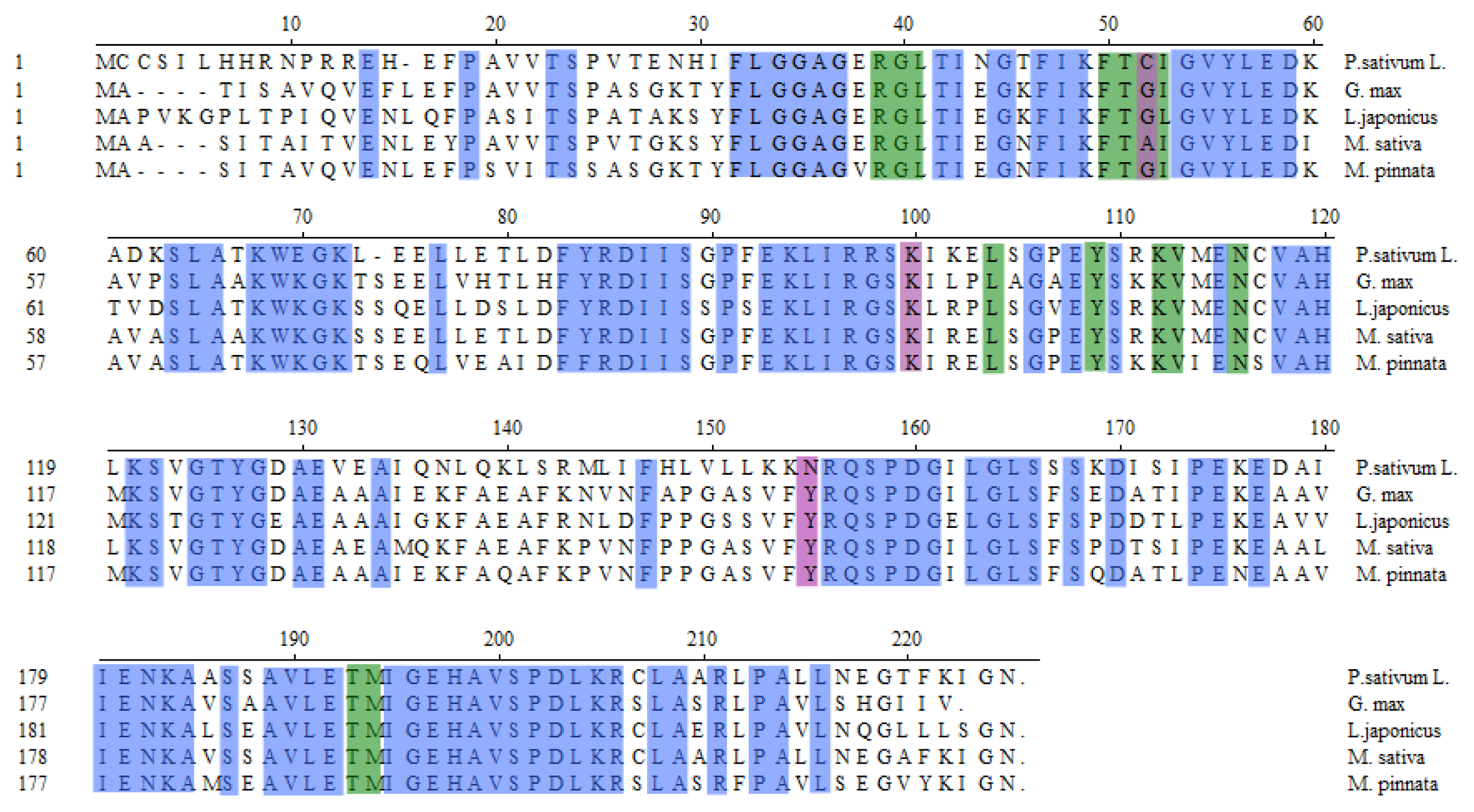 Ijms 14 08775f4 1024