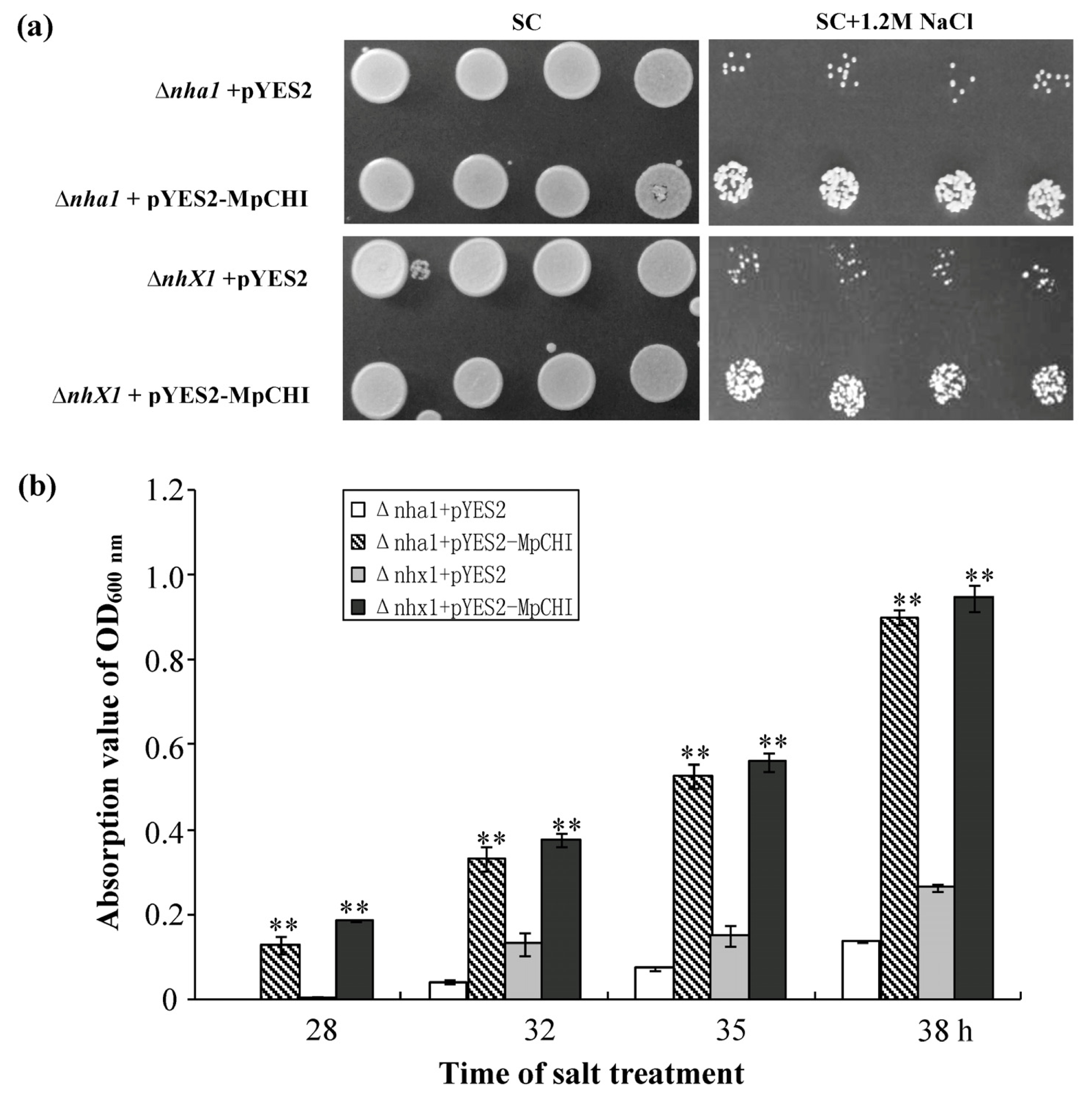 Ijms 14 08775f5 1024