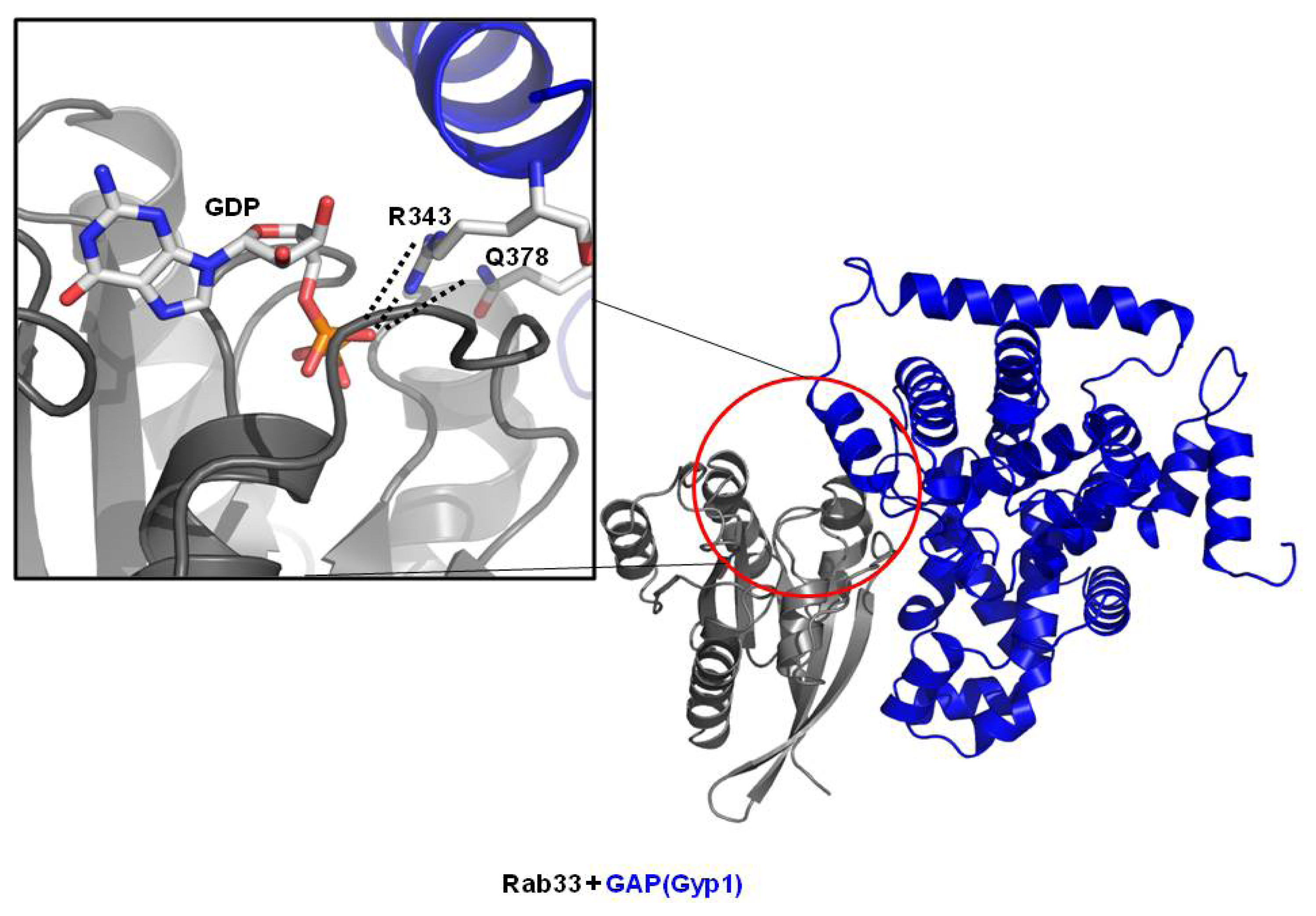Ijms 14 08912f2 1024