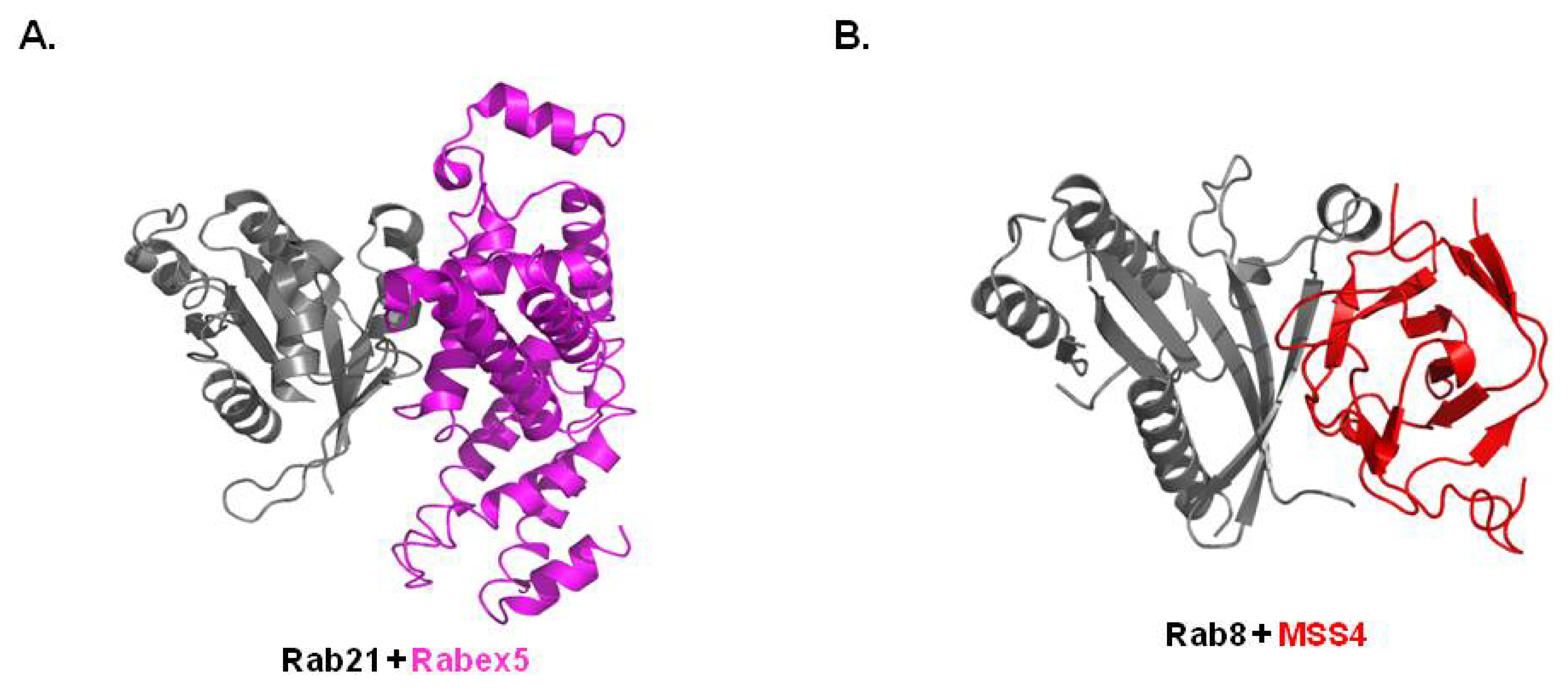 Ijms 14 08912f3 1024