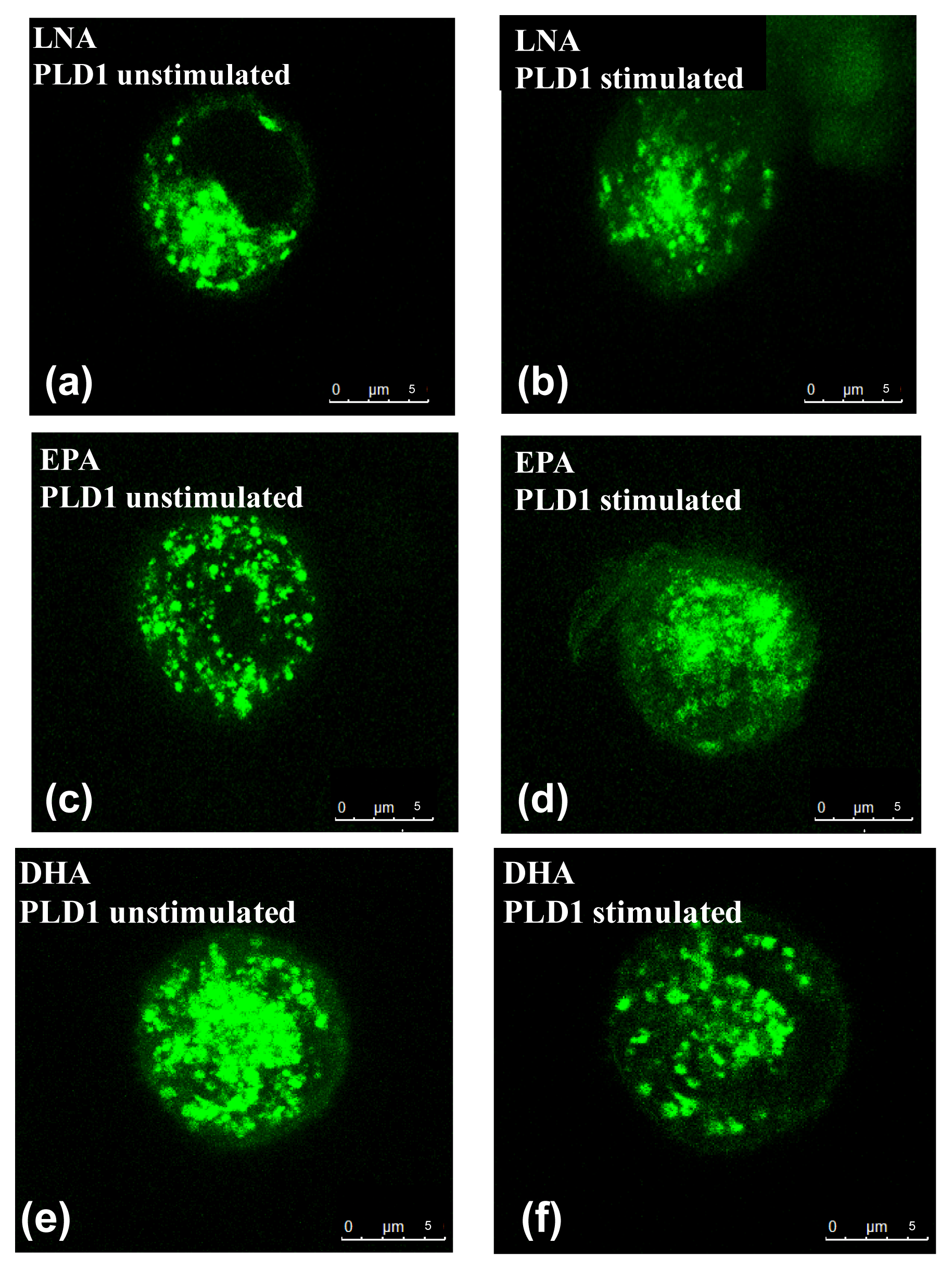 Ijms 14 09005f2a 1024