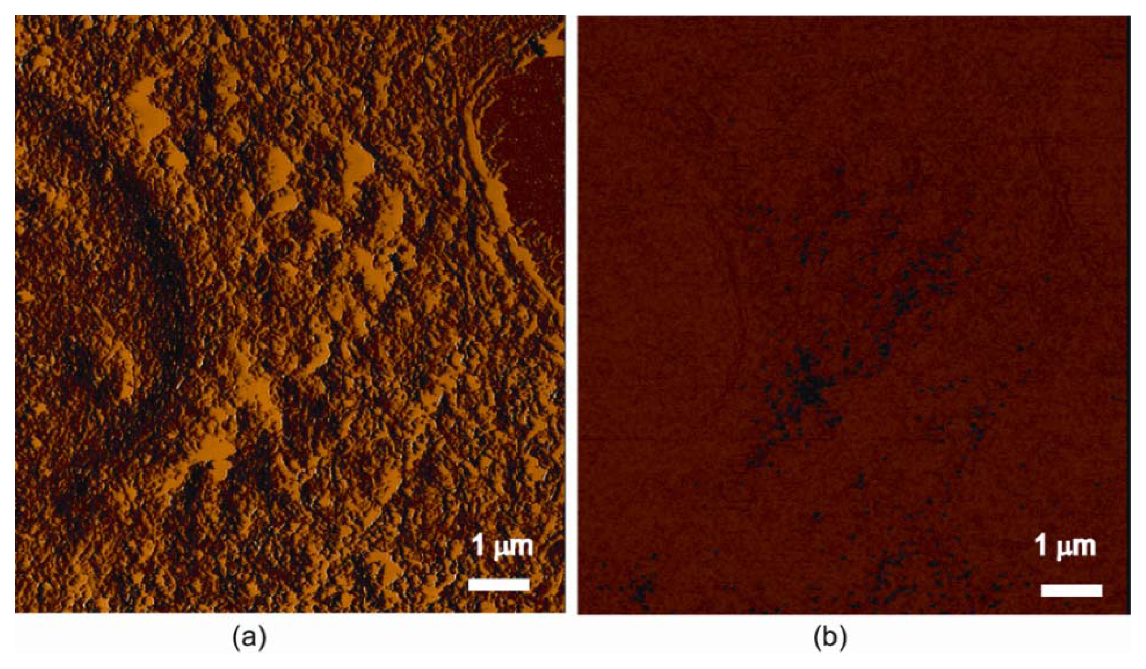 Ijms 14 09111f3a 1024