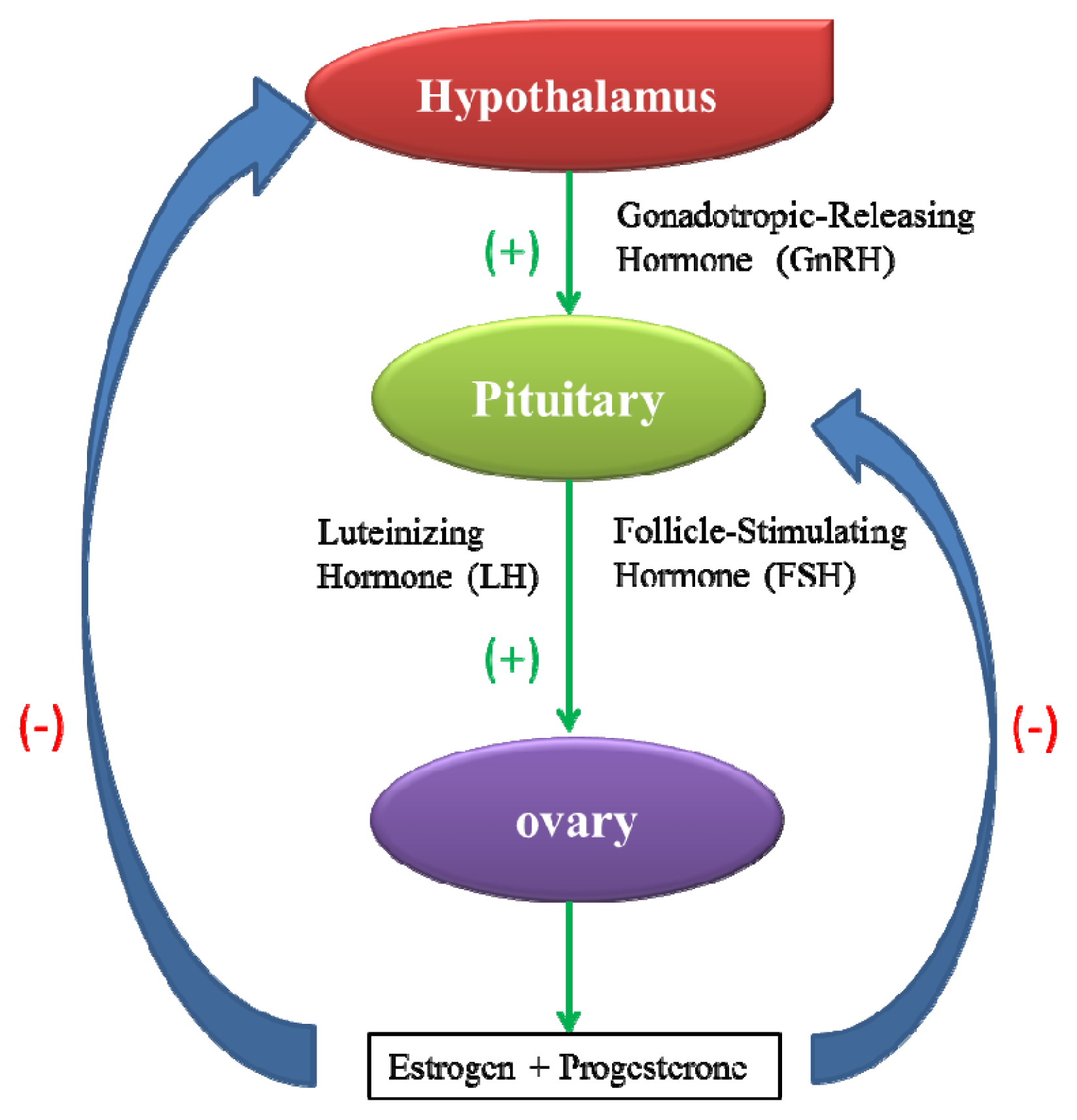 IJMS | Free Full-Text | Effects of Nanotoxicity on Female Reproductivity and Fetal Development in Animal Models IJMS | Free Full-Text | Effects of Nanotoxicity on Female Reproductivity and Fetal Development in Animal Models