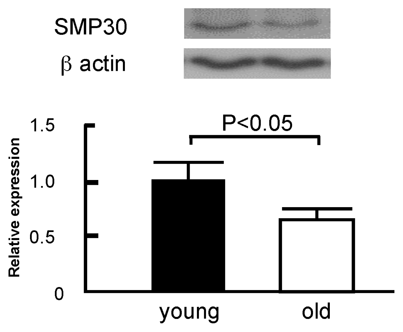 Ijms 14 09408f8 1024