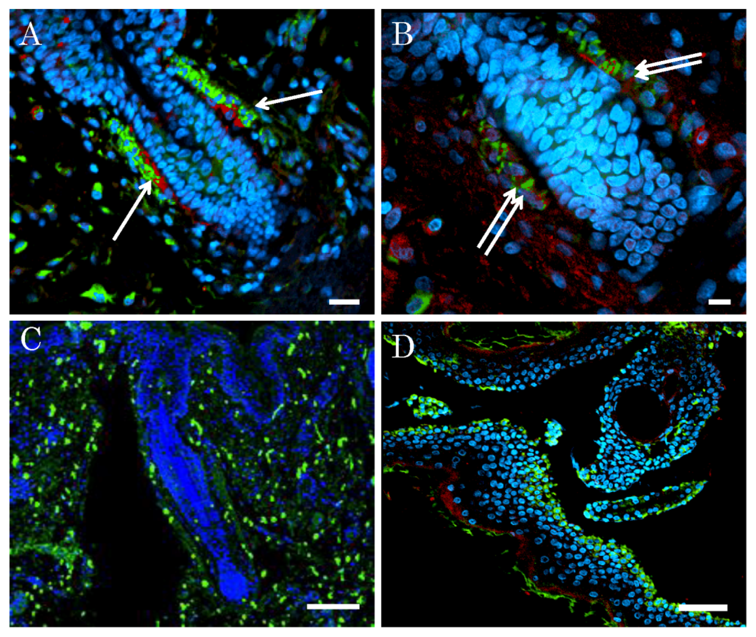 Ijms 14 09604f3 1024