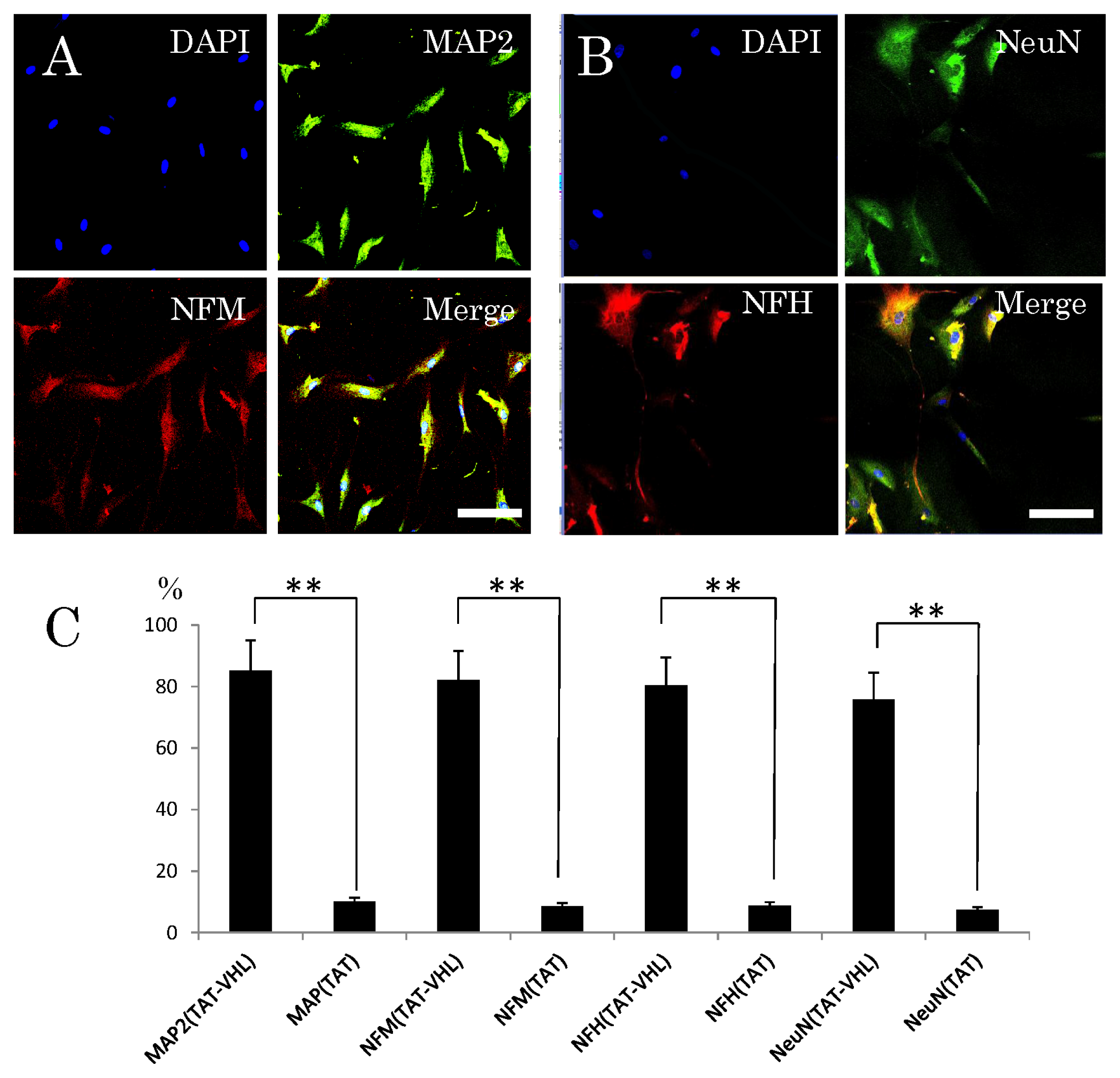 Ijms 14 09604f4 1024