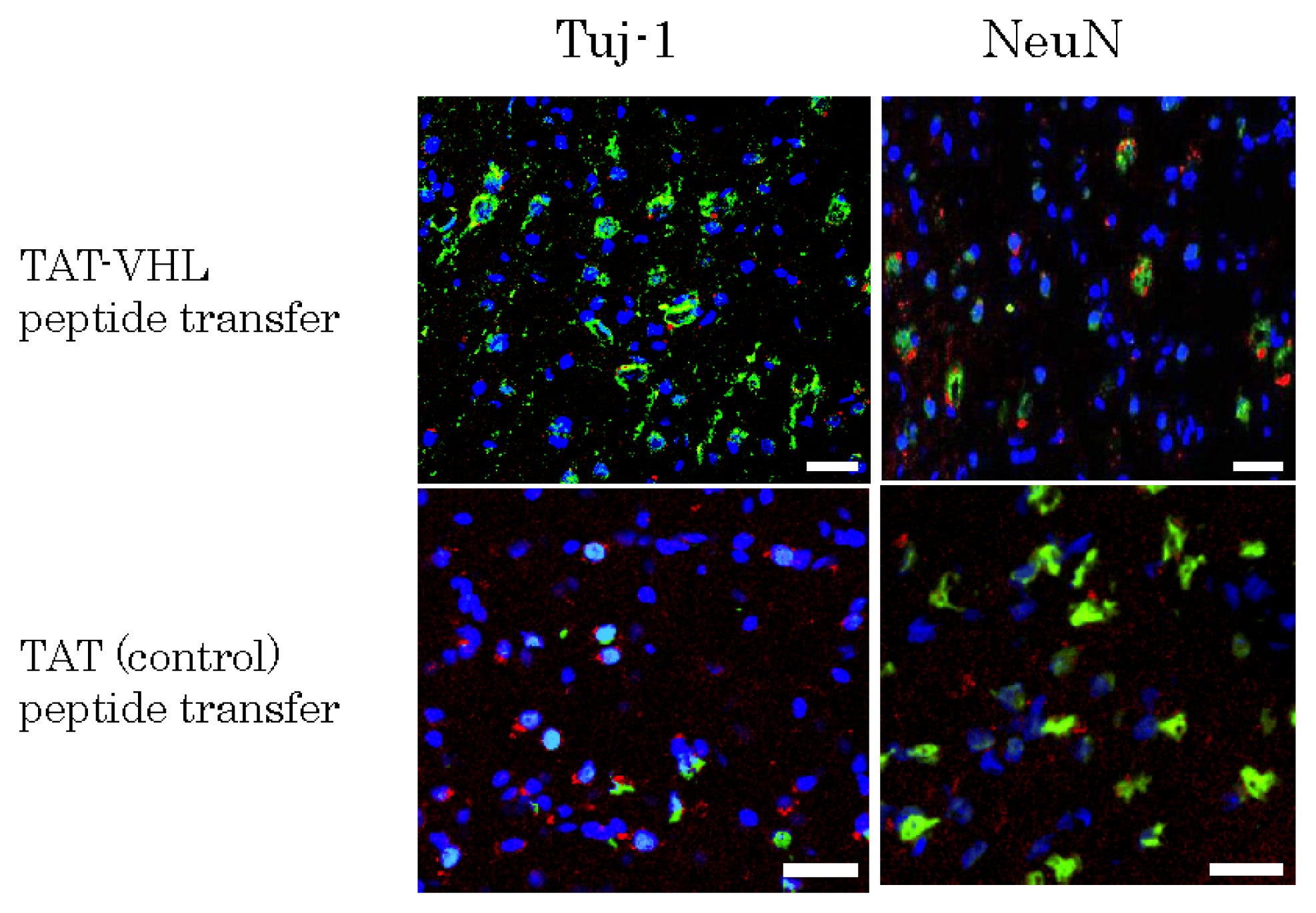 Ijms 14 09604f5 1024