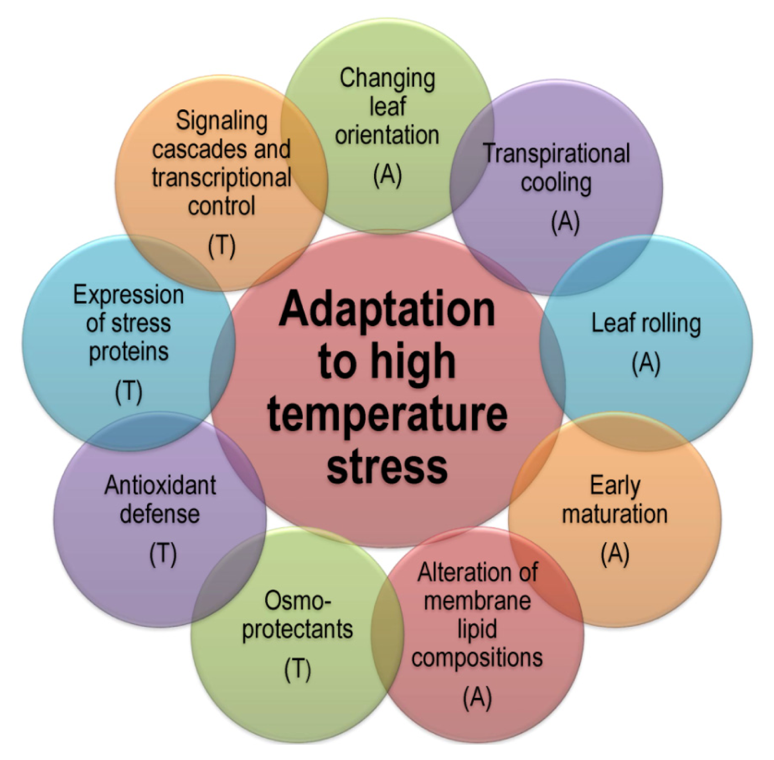 thesis about heat stress