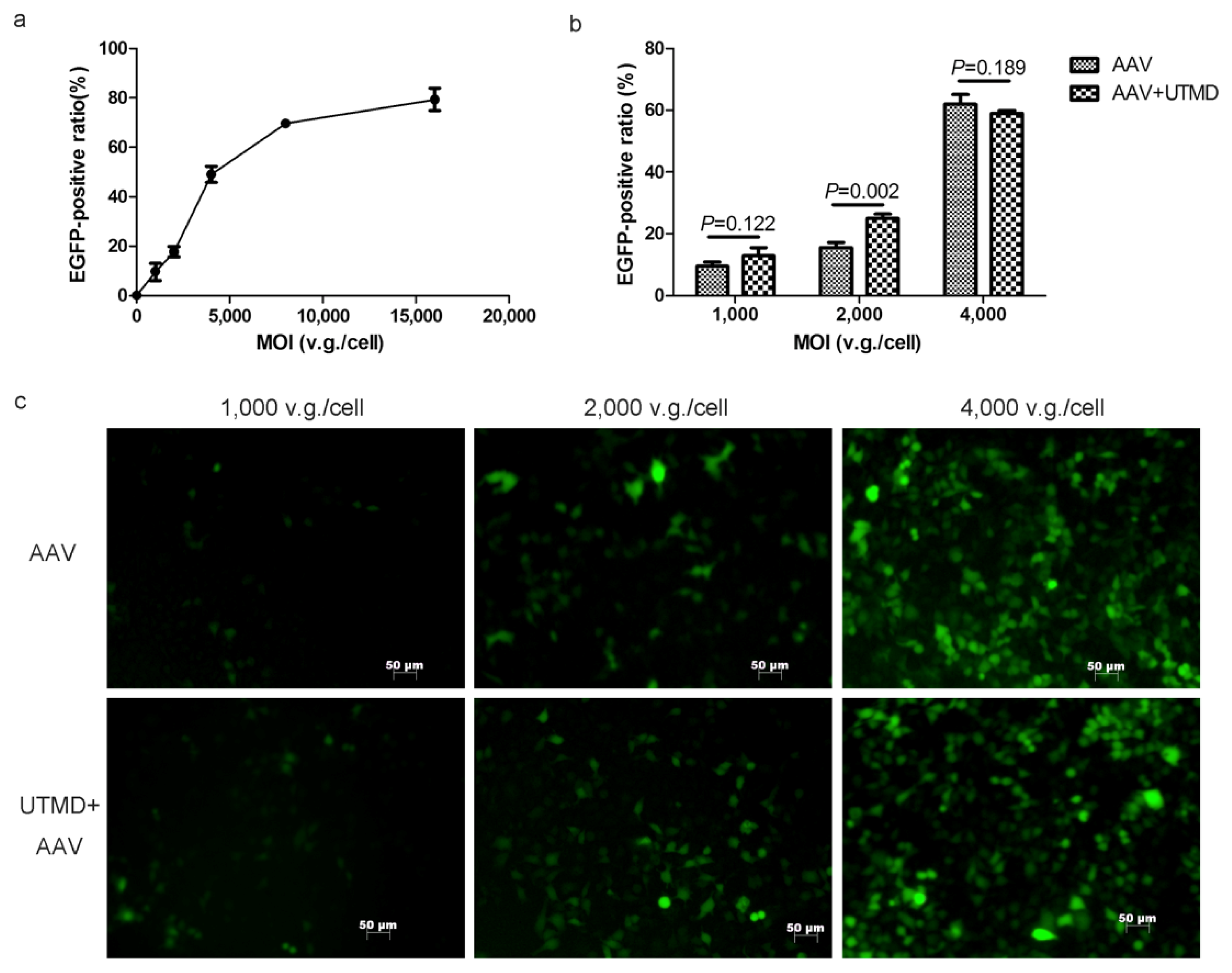 Ijms 14 09737f1 1024