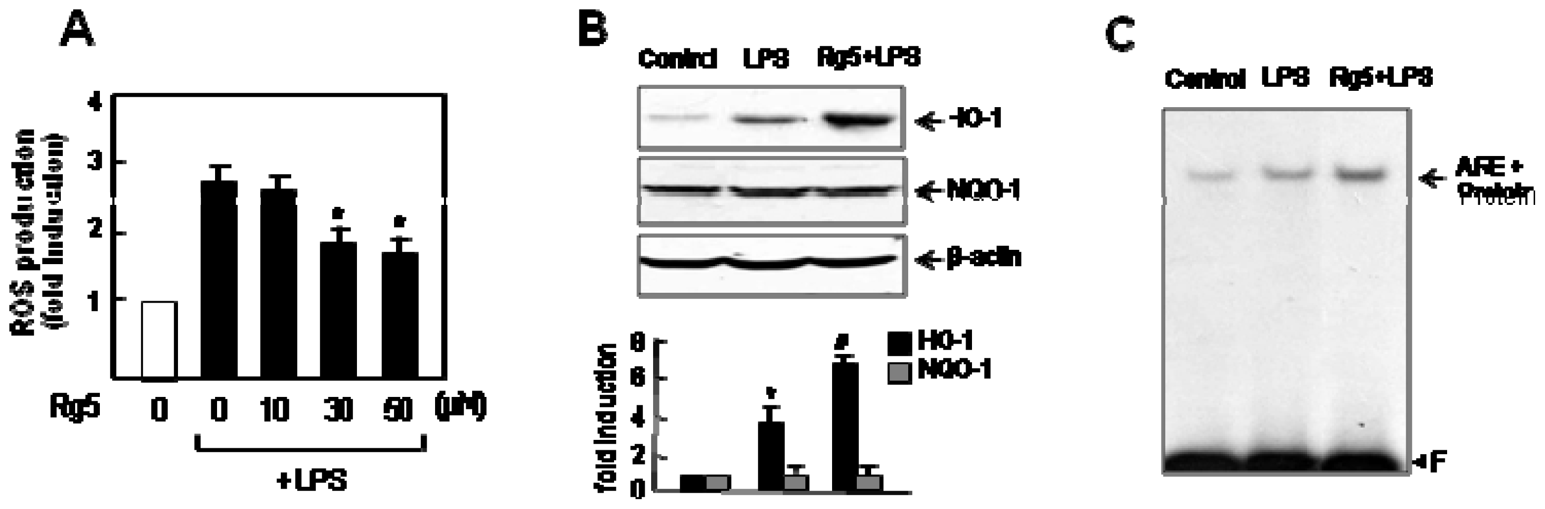 Ijms 14 09820f8 1024