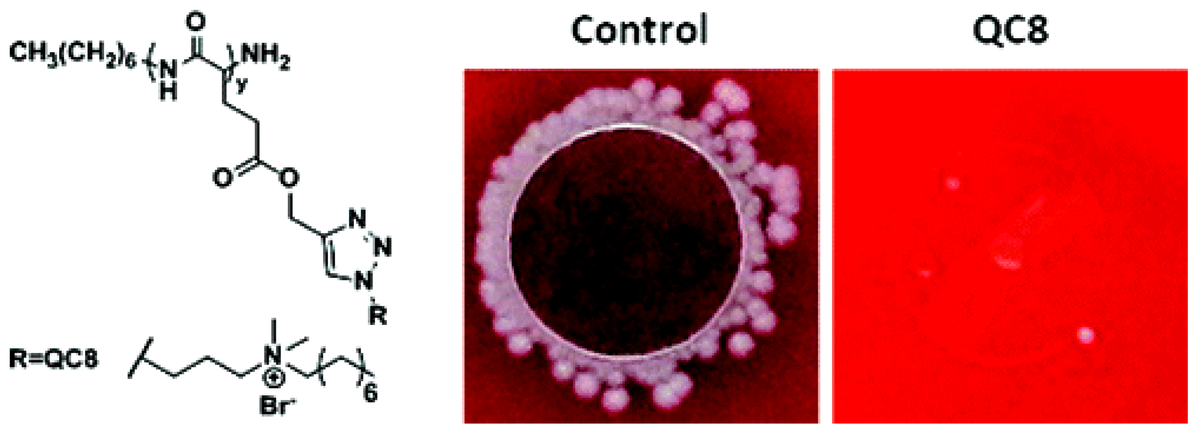 Ijms 14 09906f6 1024