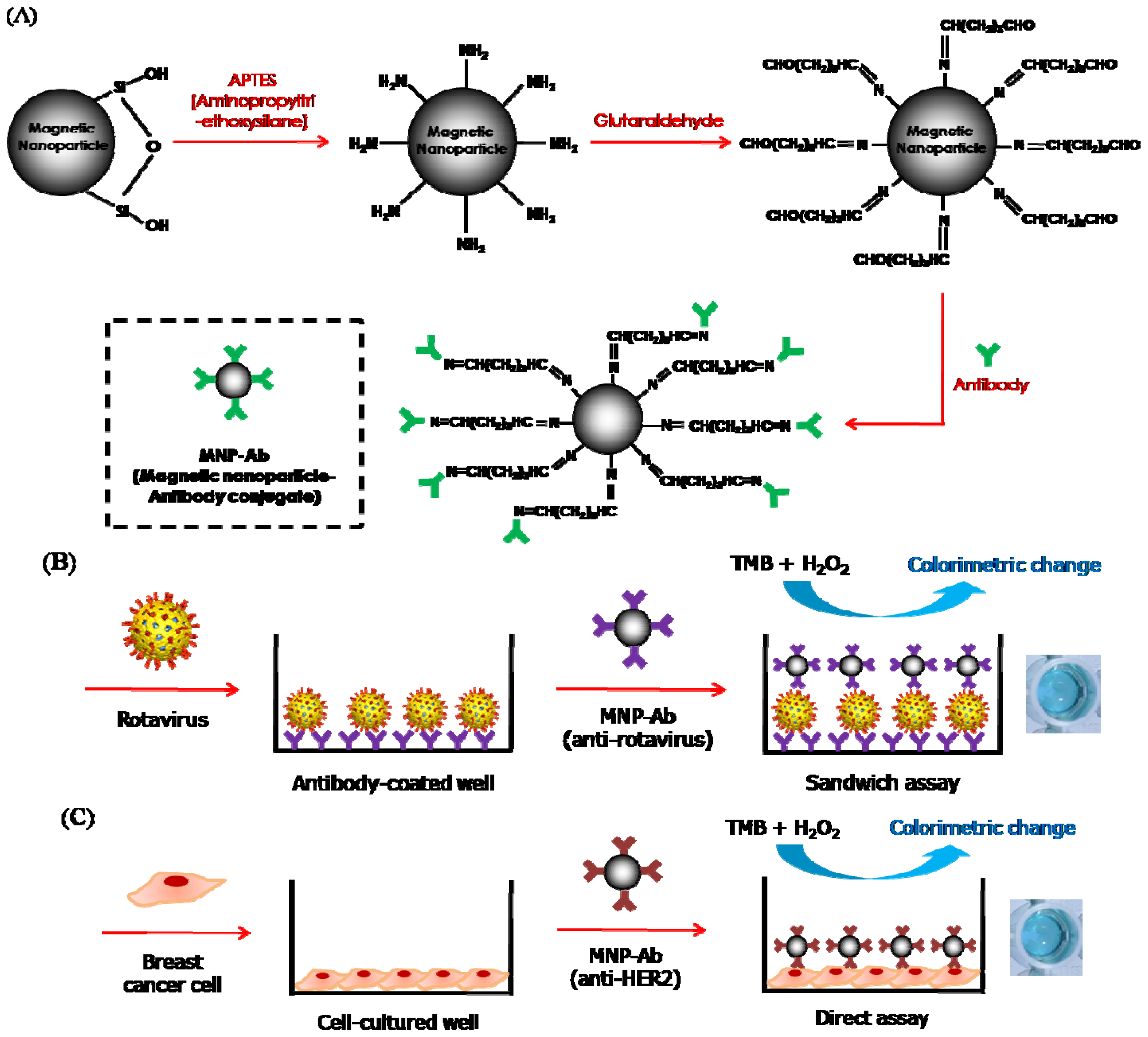 Ijms 14 09999f1 1024