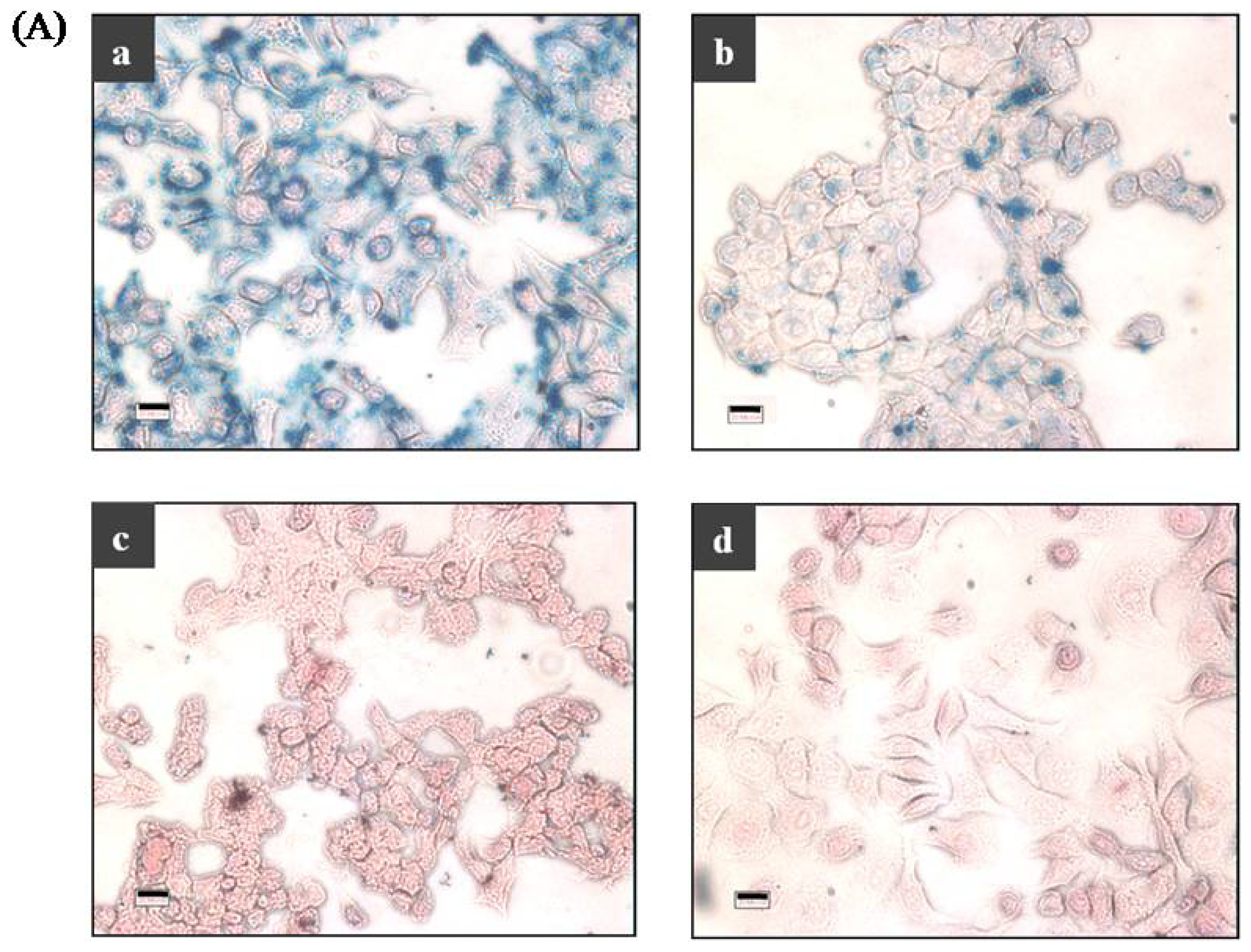 Ijms 14 09999f5a 1024