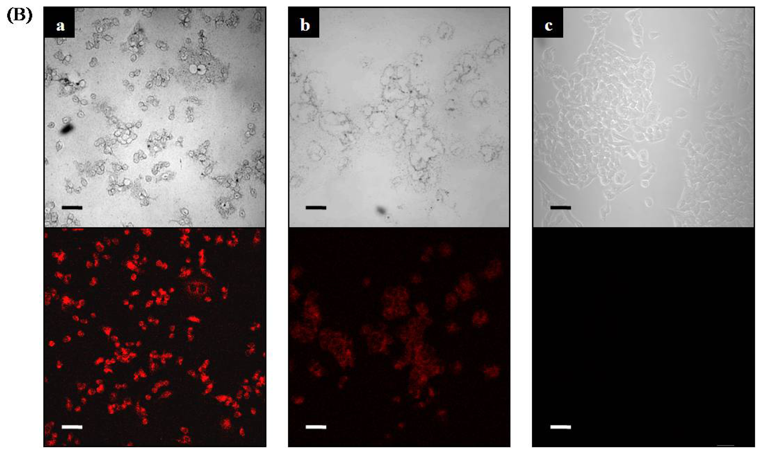 Ijms 14 09999f5b 1024