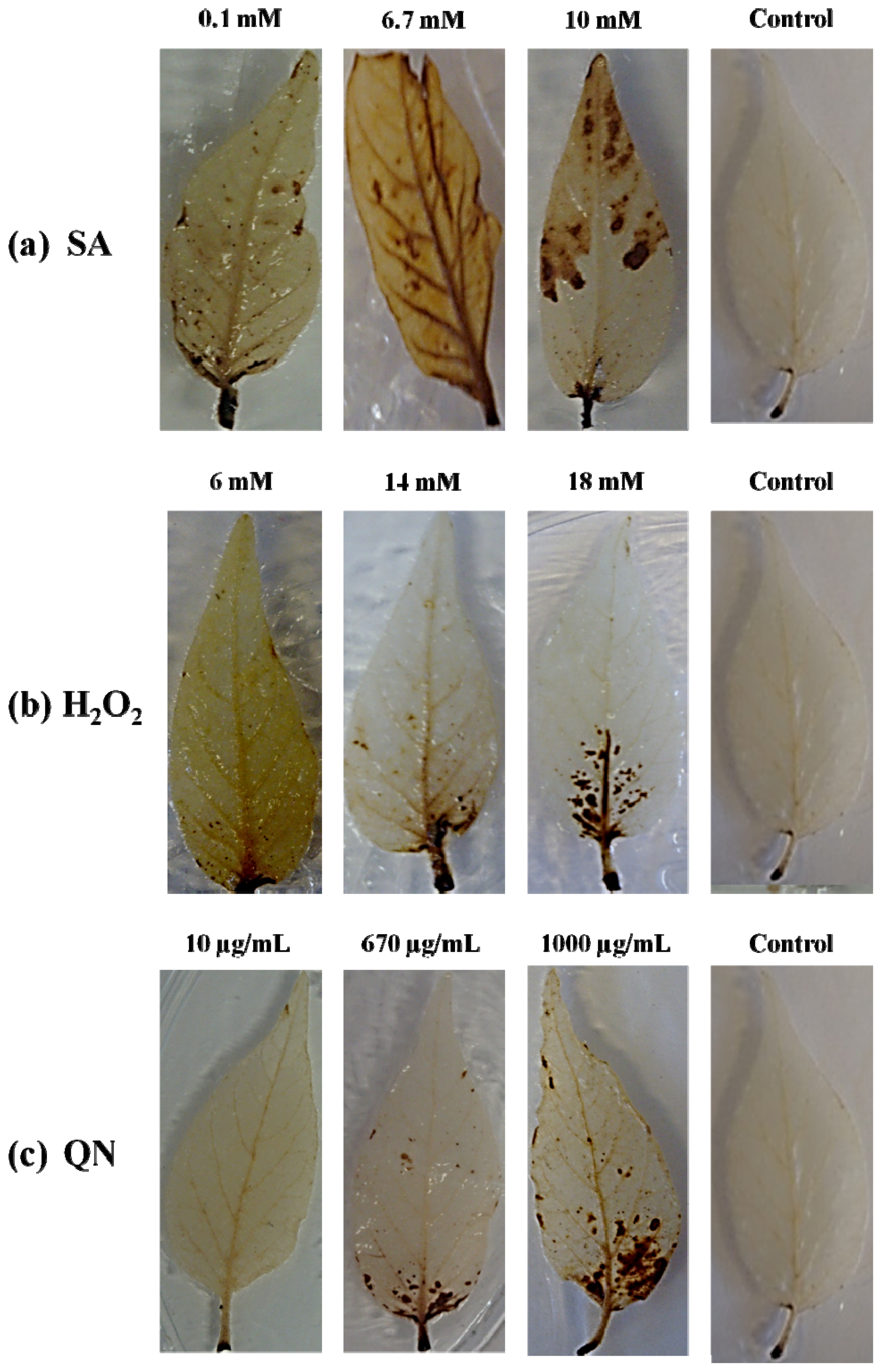 Ijms 14 10178f1 1024