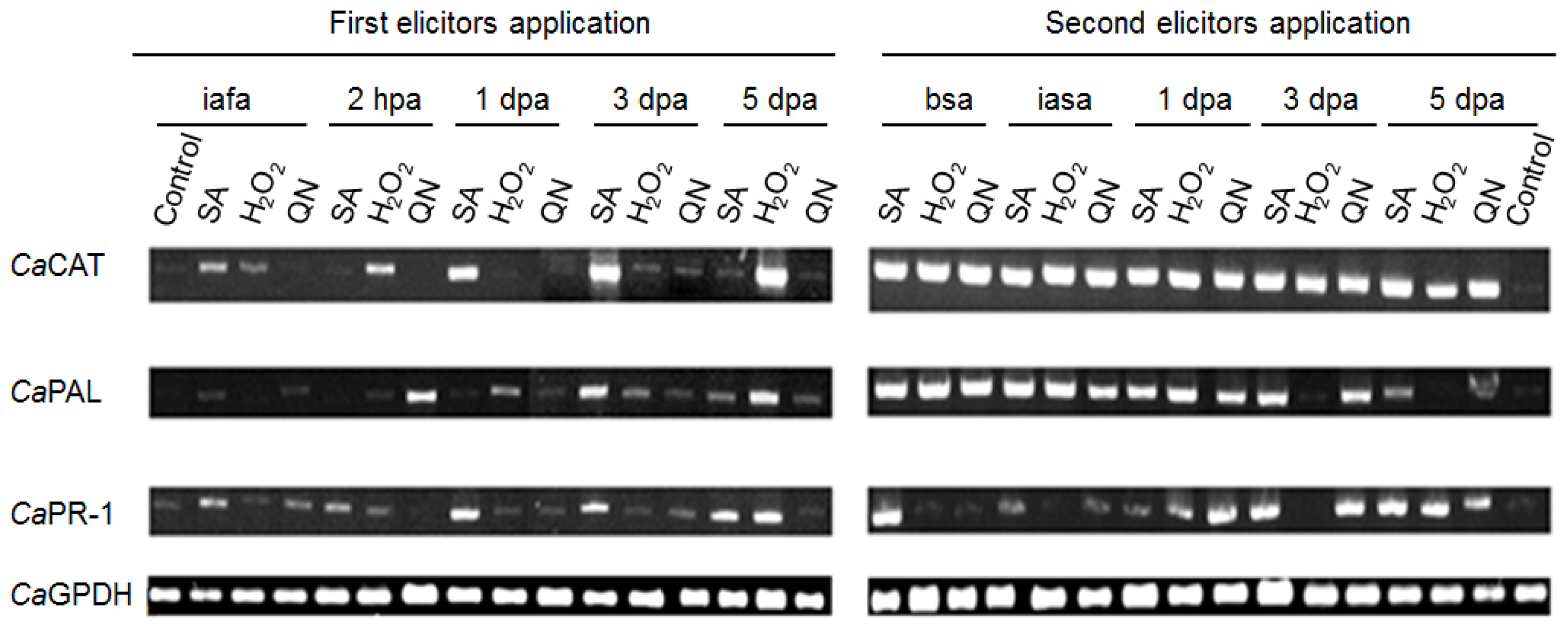 Ijms 14 10178f5 1024