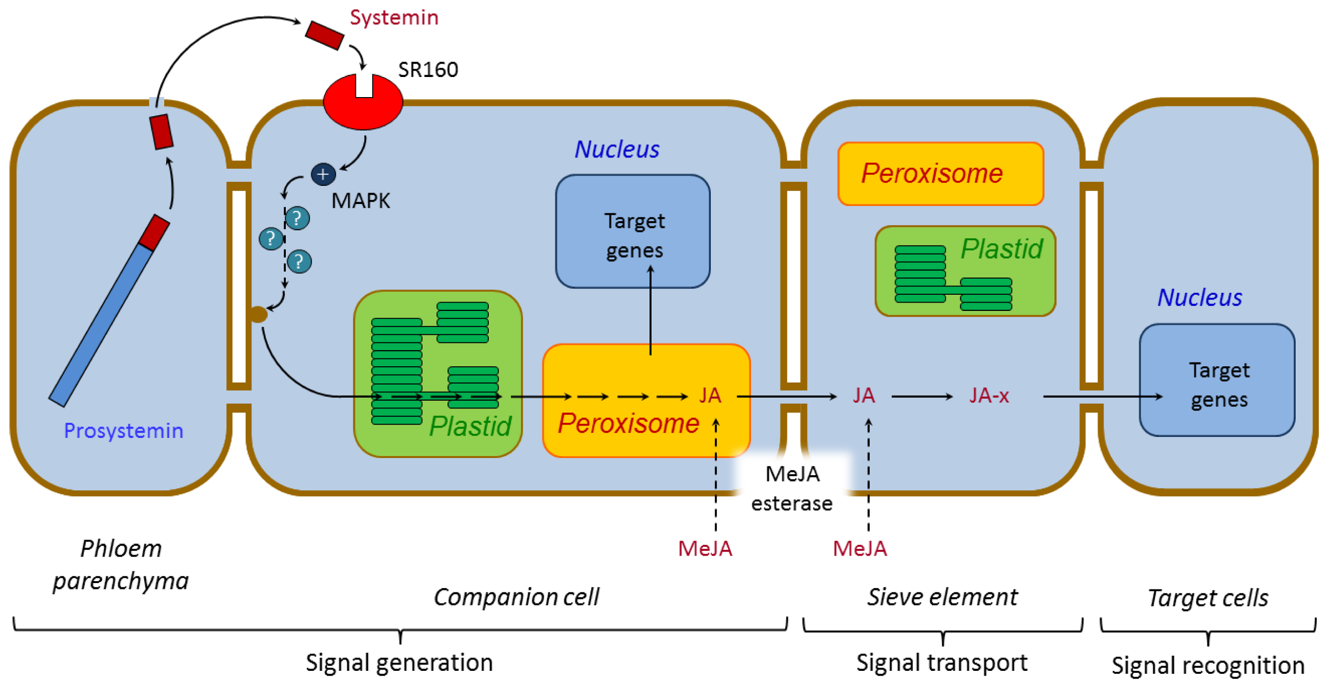 Ijms 14 10242f4 1024