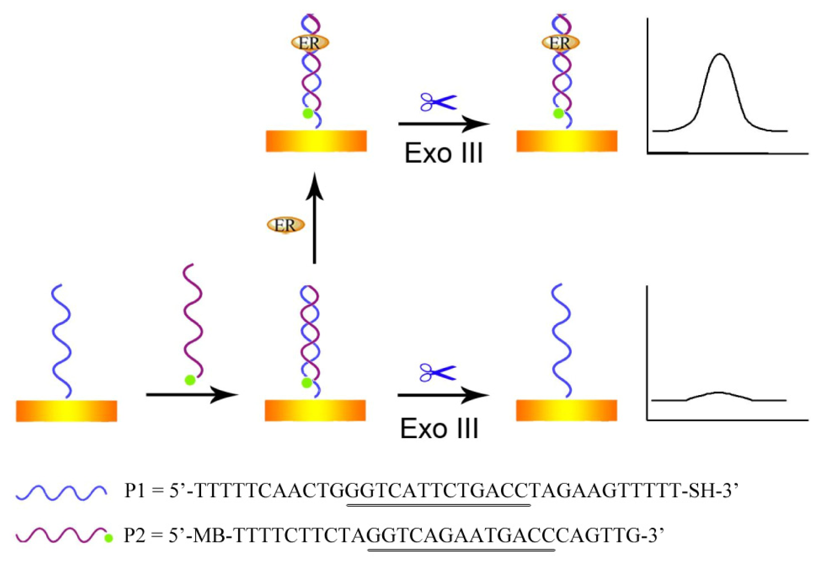 Ijms 14 10298f5 1024
